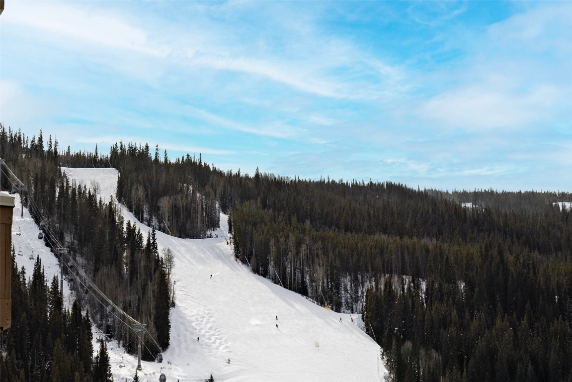 20 Hunki Dori COURT 2294