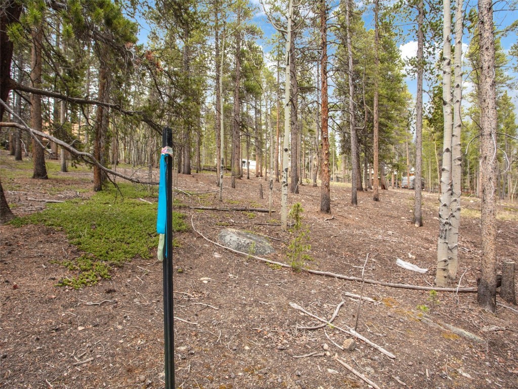 0 Lodgepole DRIVE