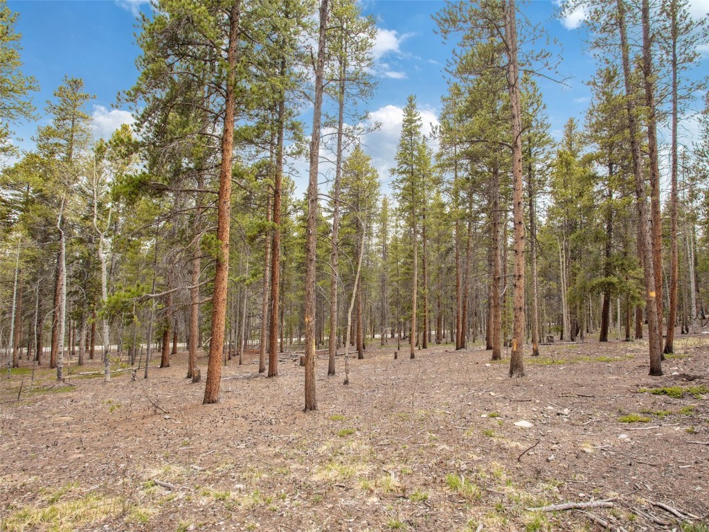 0 Lodgepole DRIVE