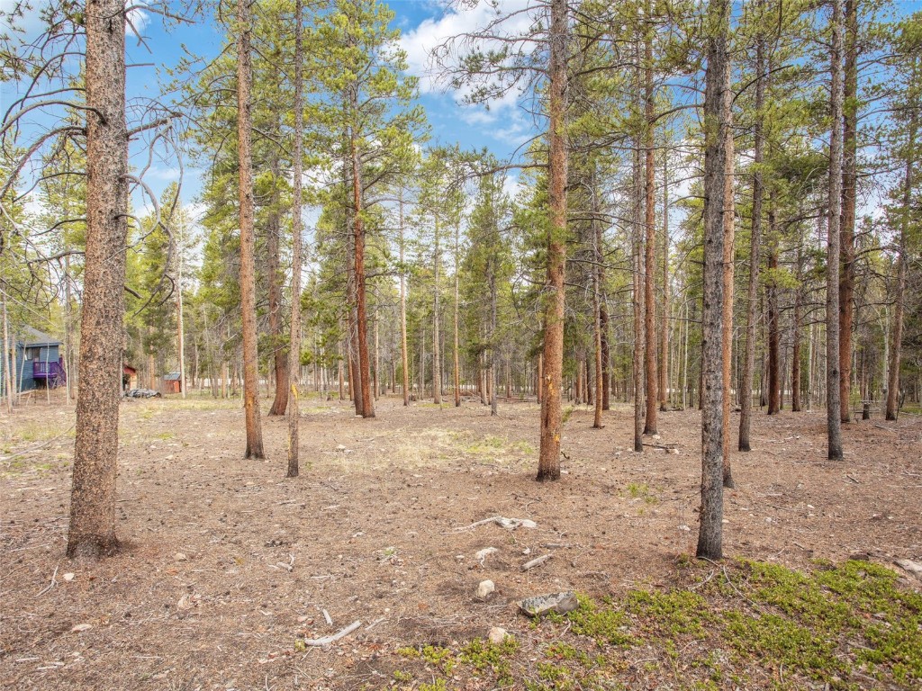 0 Lodgepole DRIVE