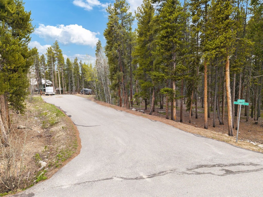 0 Lodgepole DRIVE