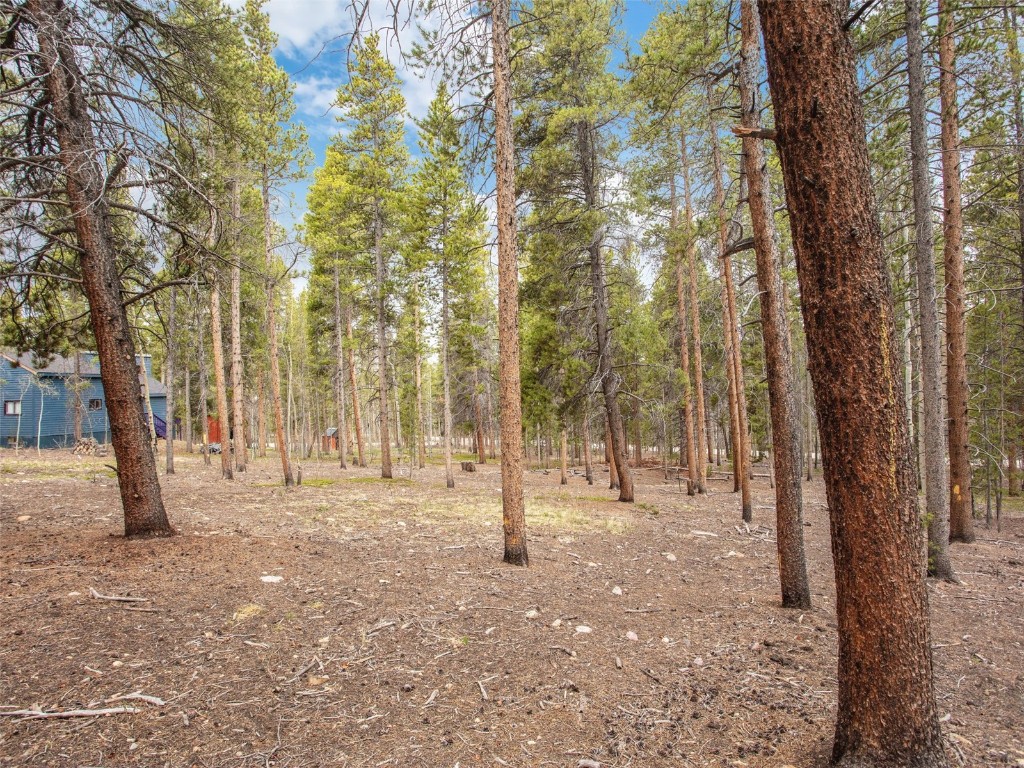 0 Lodgepole DRIVE