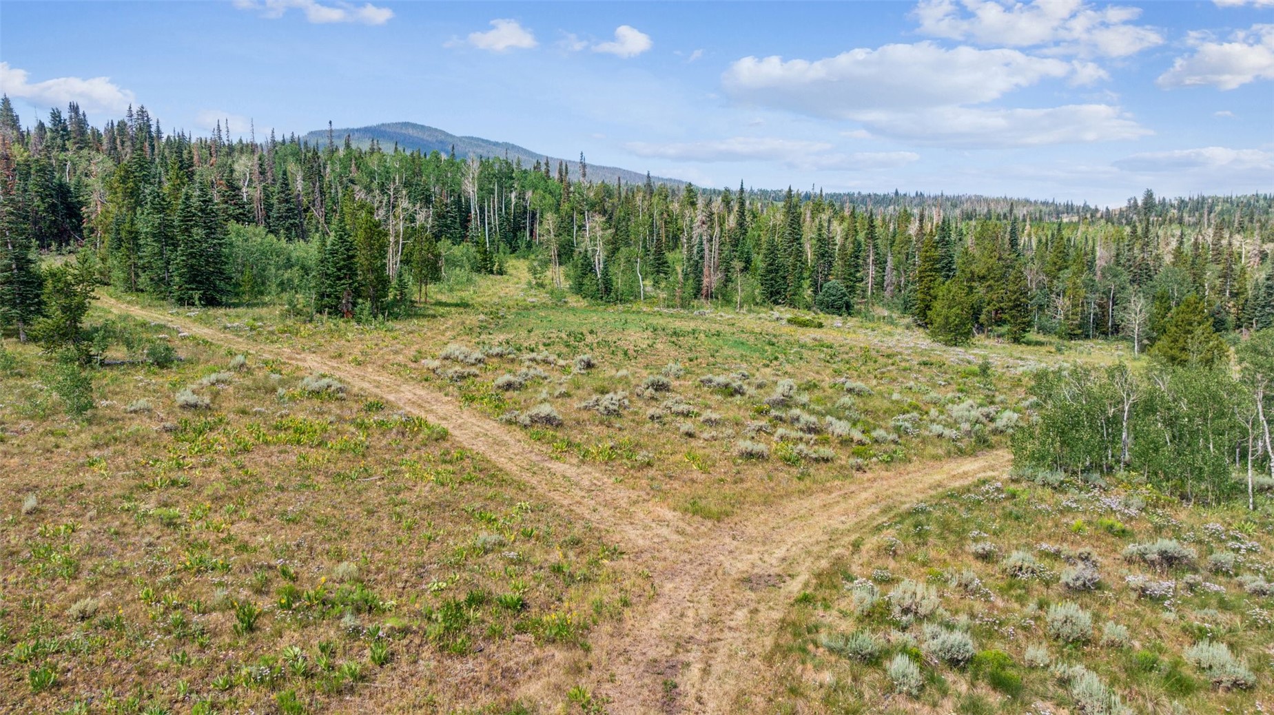 Lot AR Spring Creek Ranch Rd