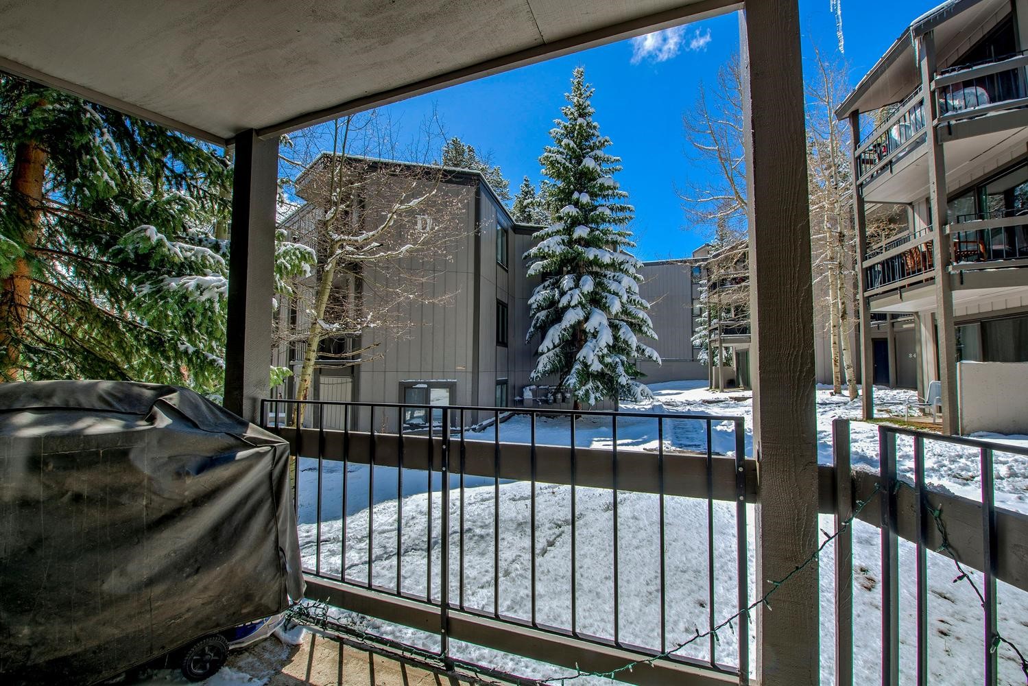 1105 Ski Hill ROAD 69