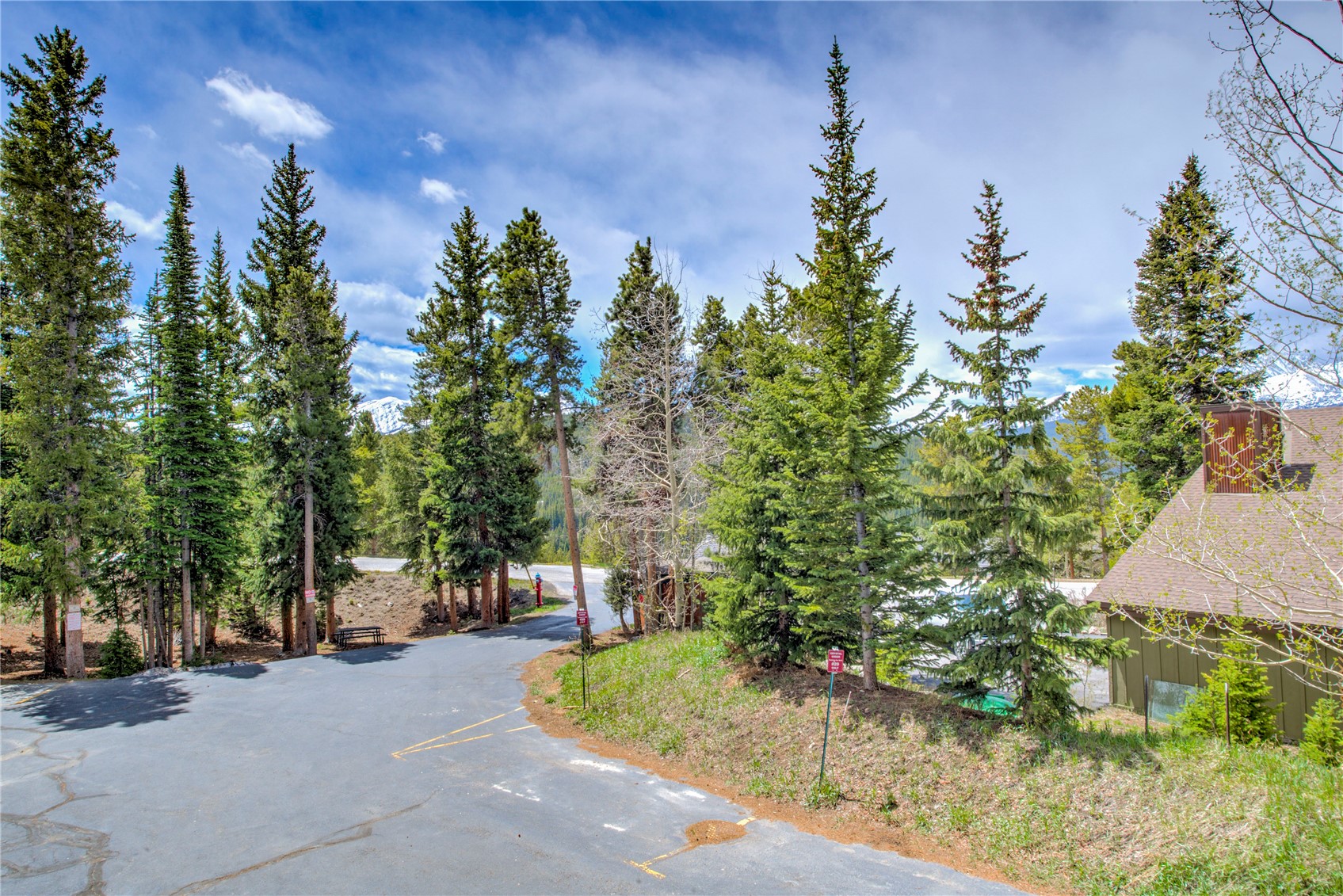 29 Washington Lode D