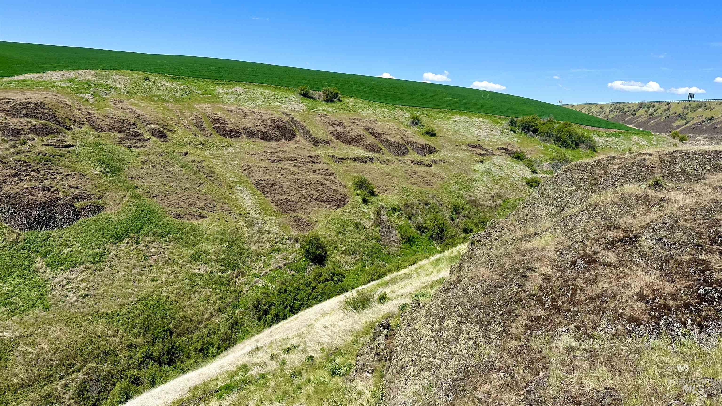 TBD Old Spiral Highway 20 Acres