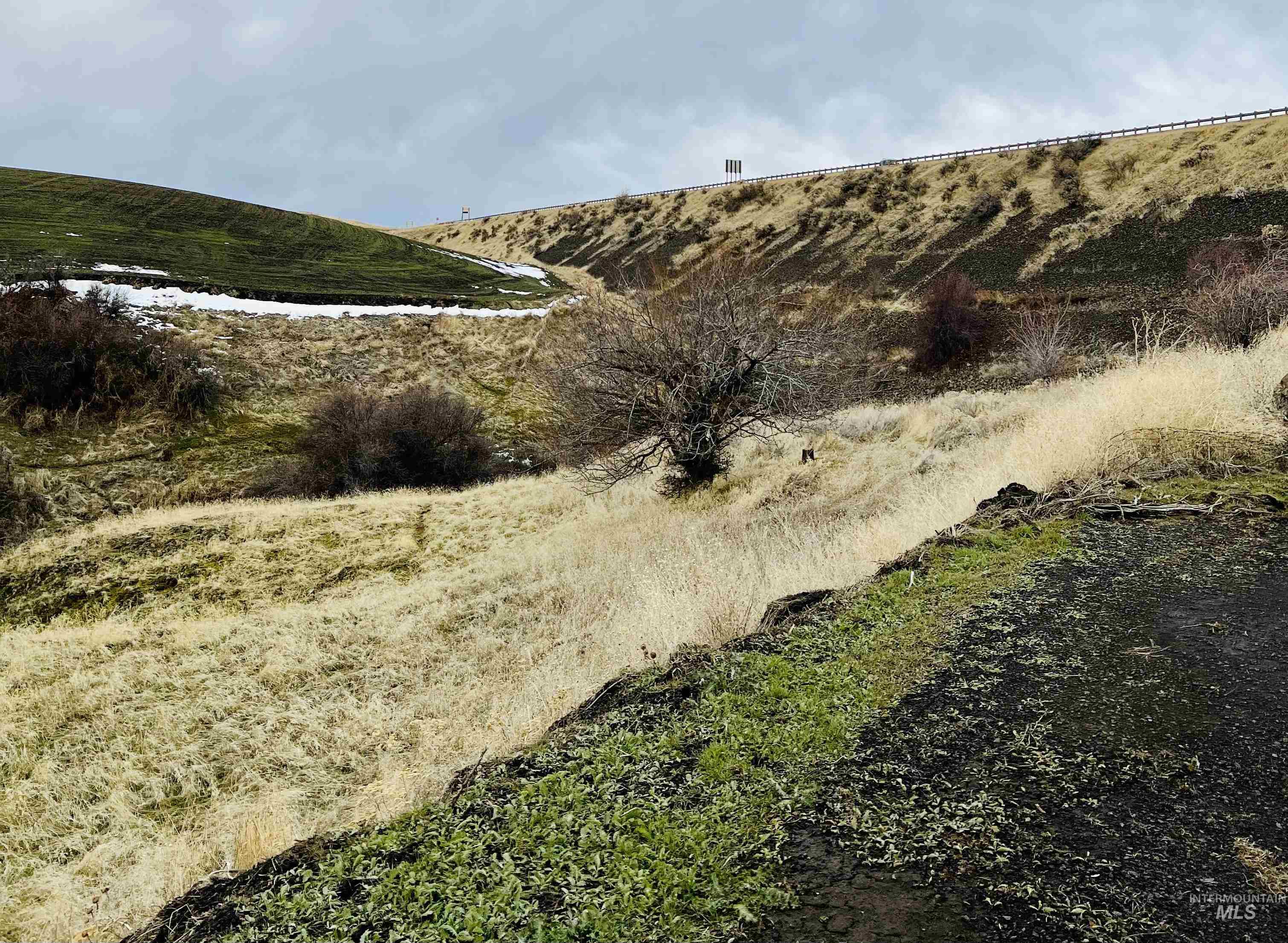 TBD Old Spiral Highway 20 Acres