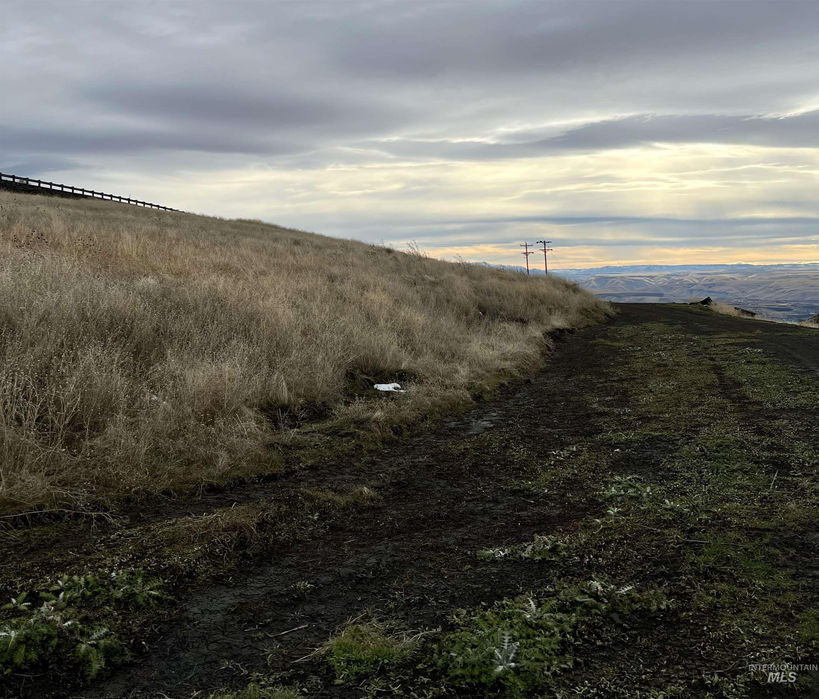 TBD Old Spiral Highway 20 Acres