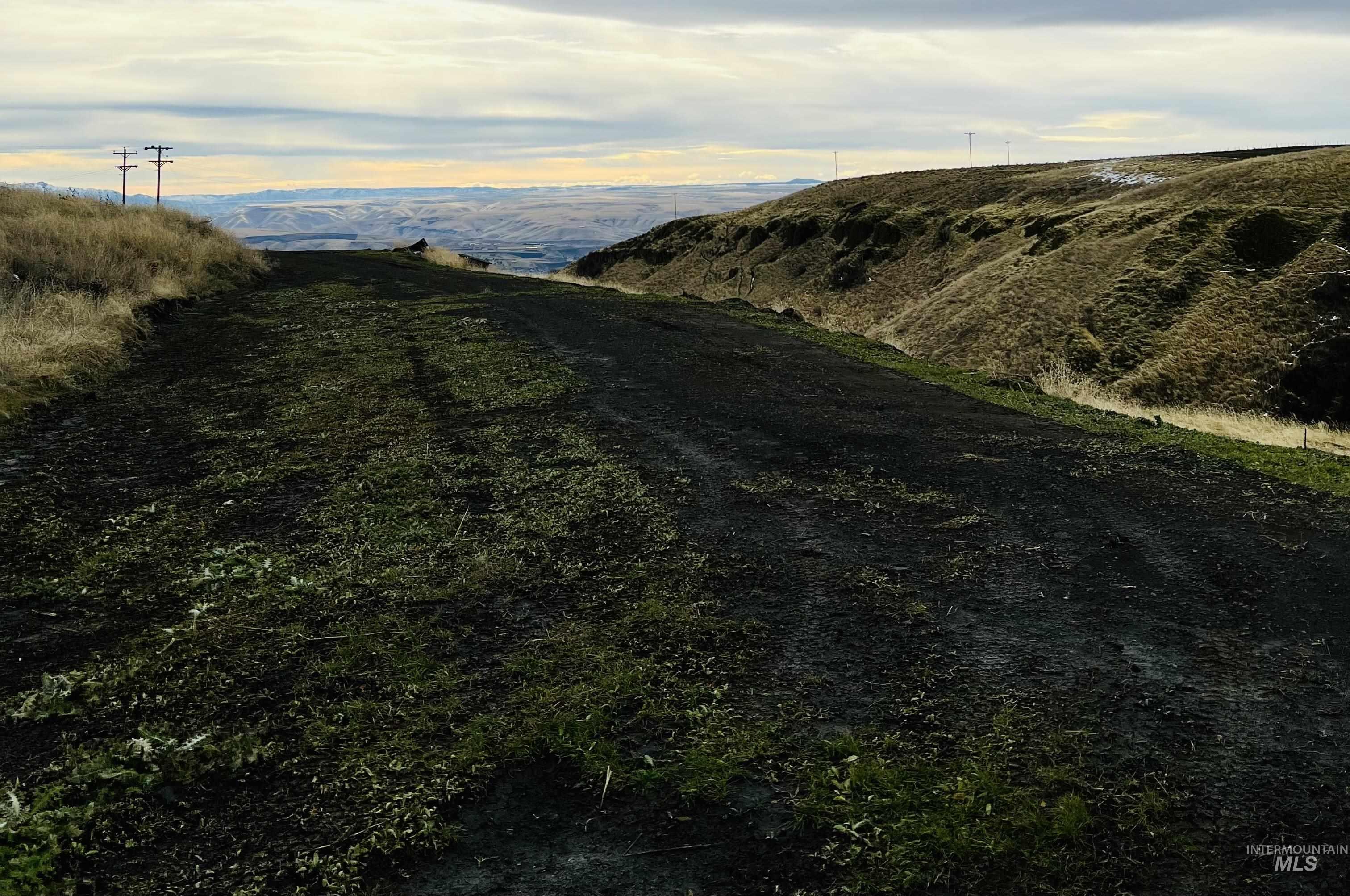 TBD Old Spiral Highway 20 Acres