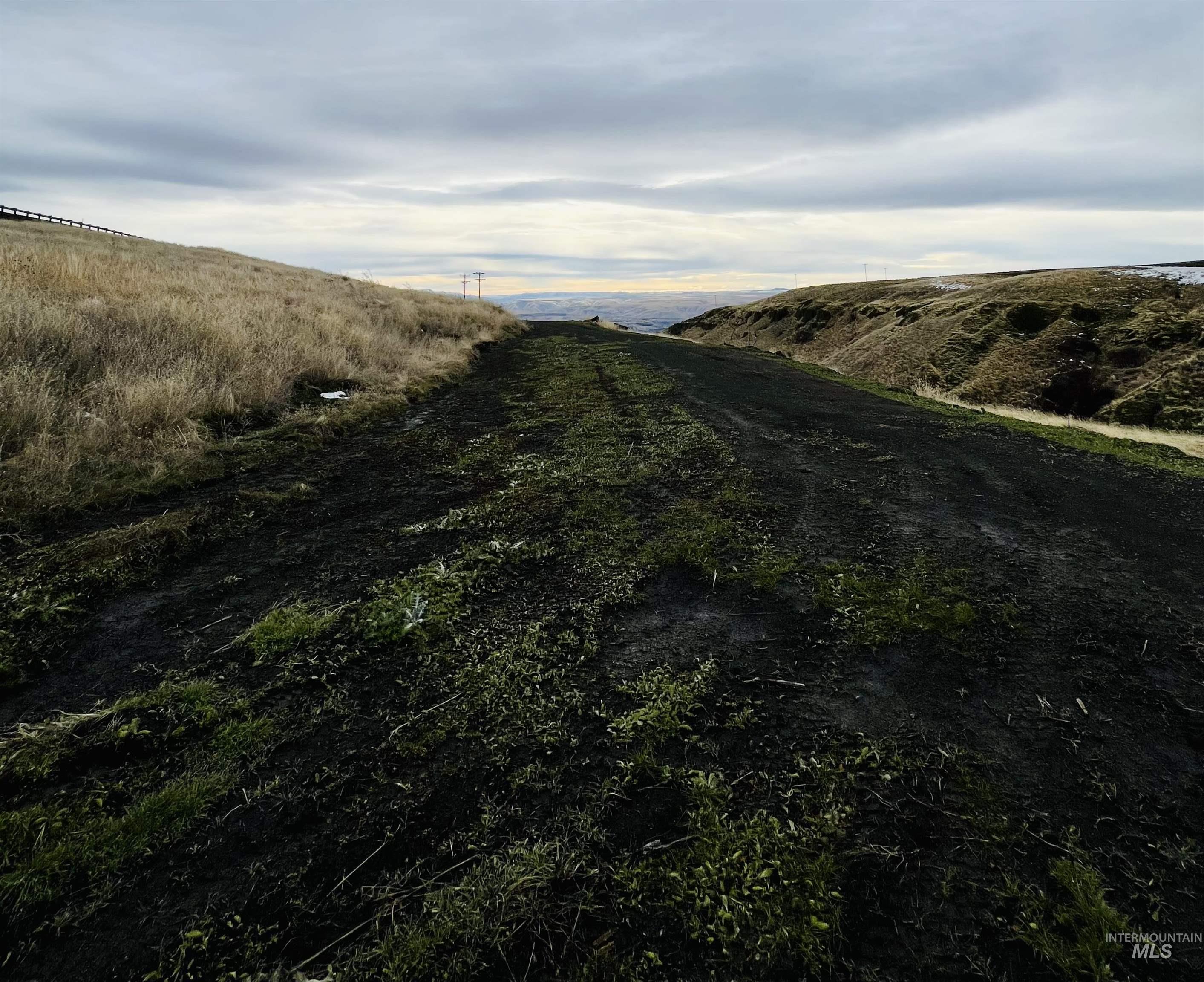 TBD Old Spiral Highway 20 Acres