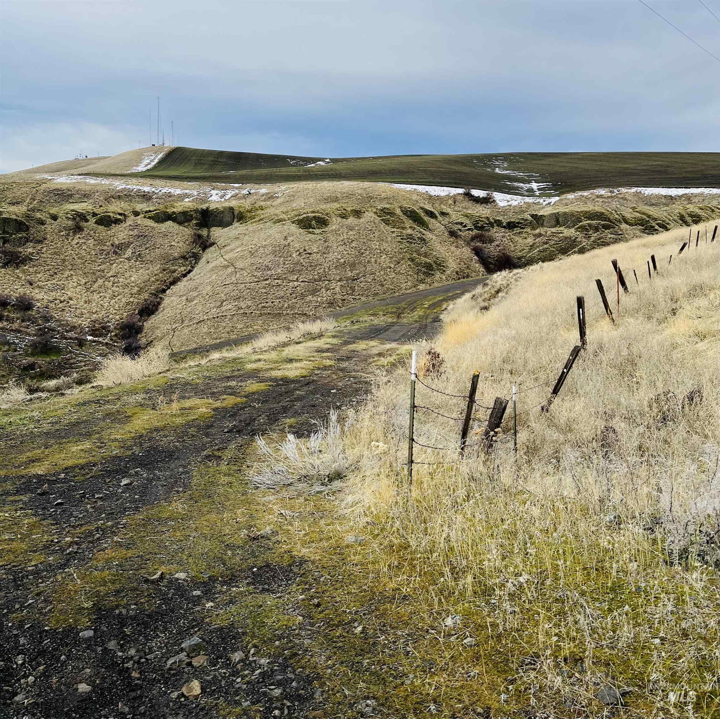 TBD Old Spiral Highway 20 Acres