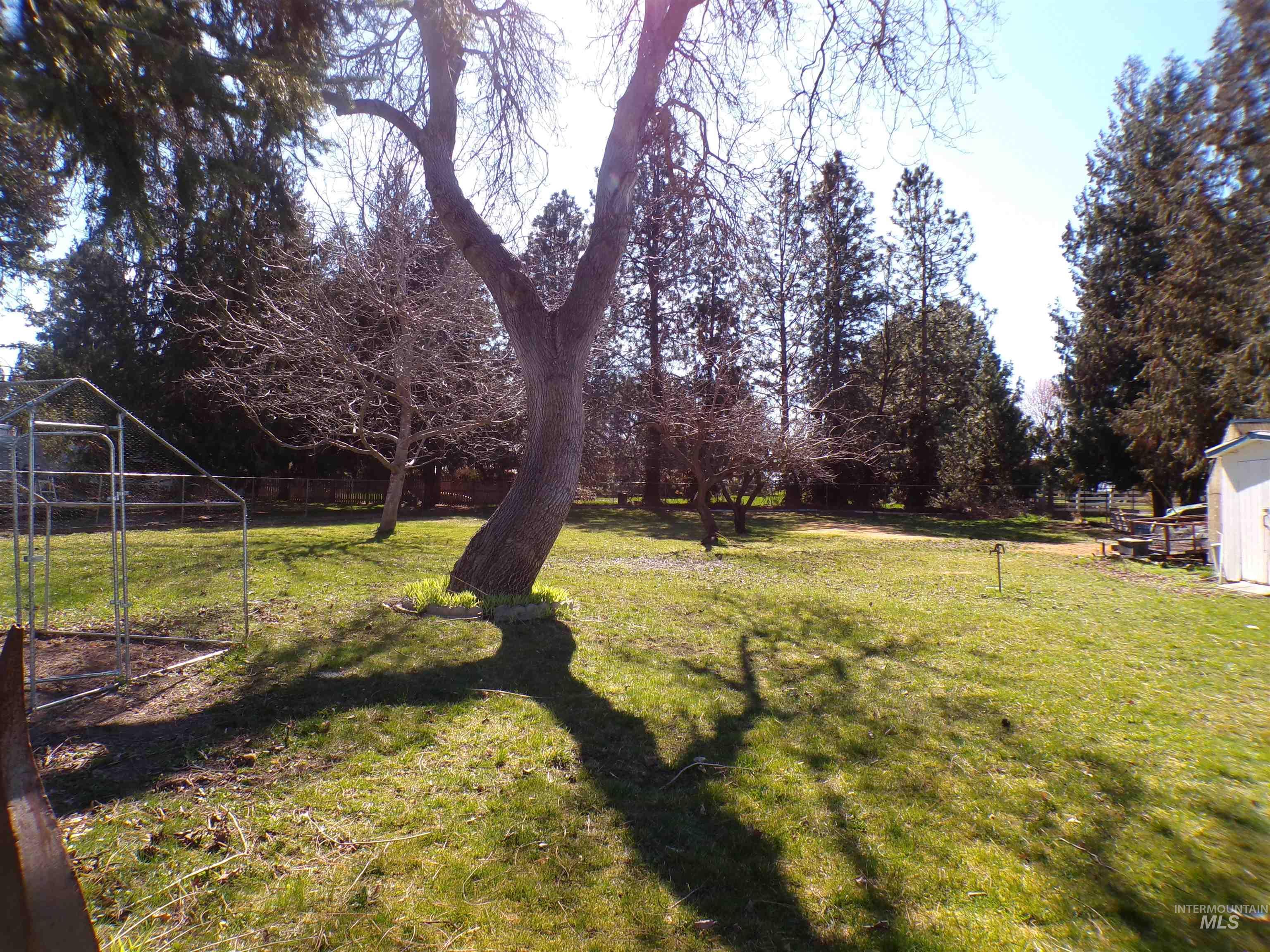 520 Burrell Avenue