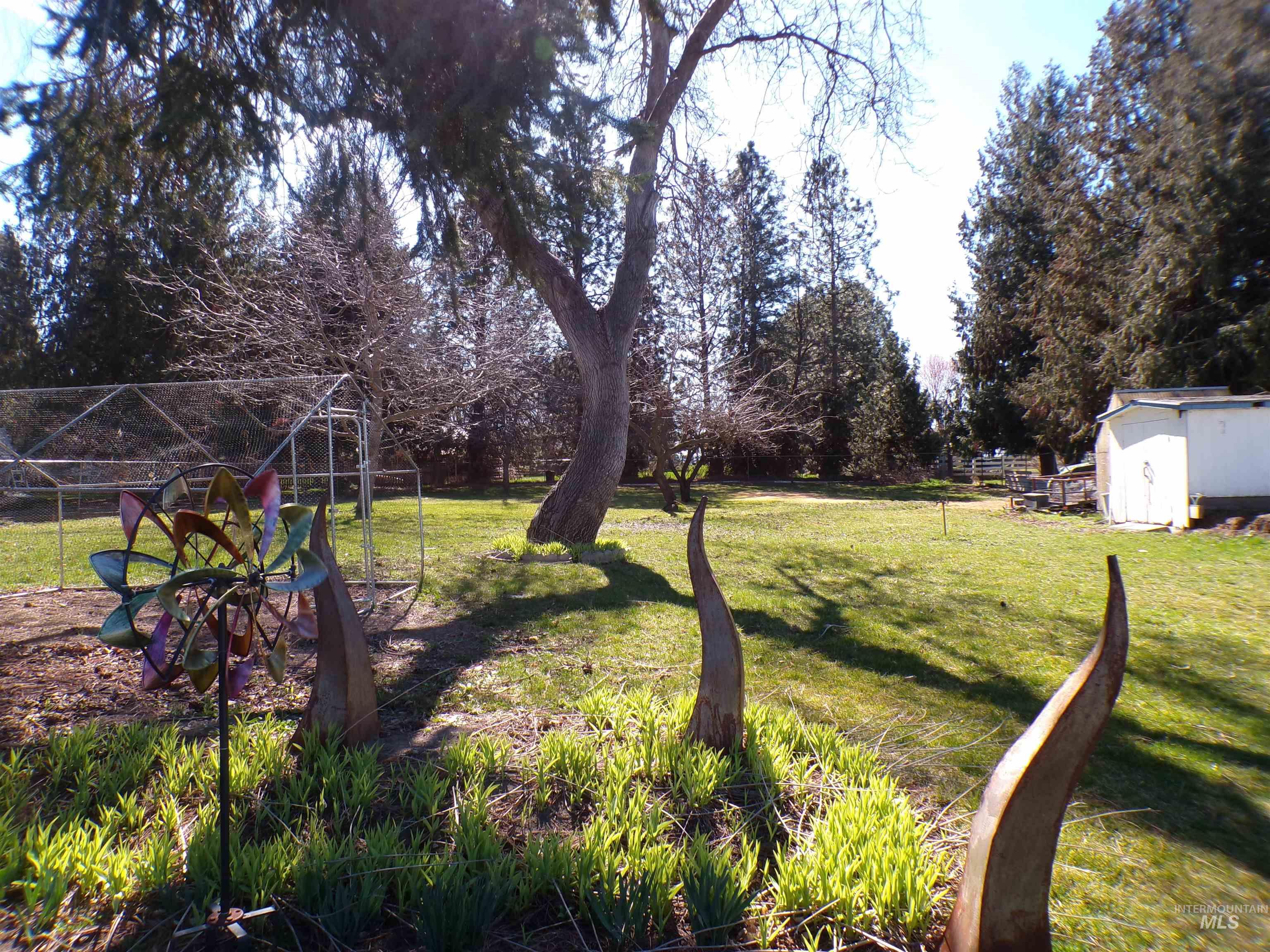 520 Burrell Avenue