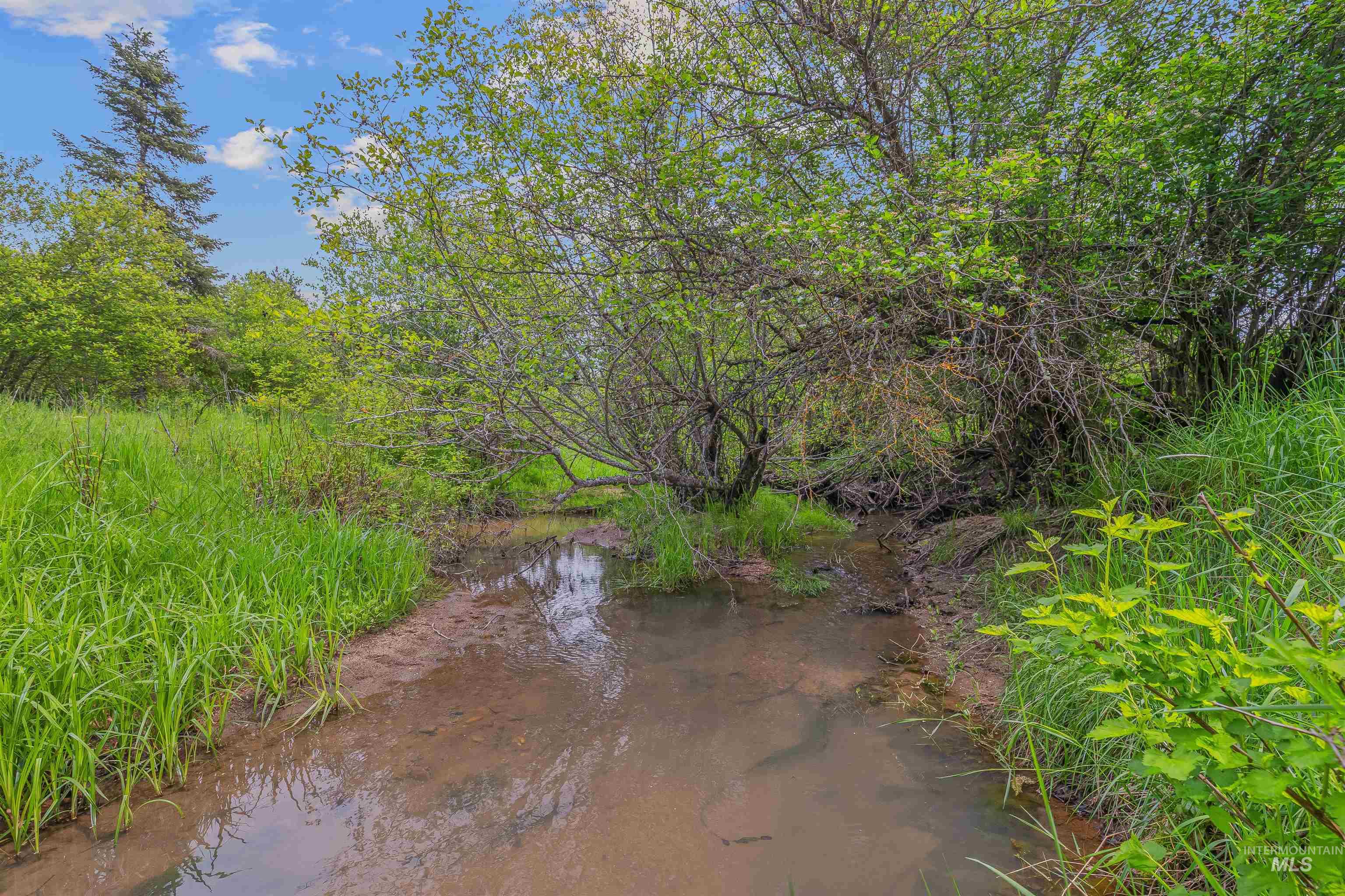 478 and 716 Three Bear Rd