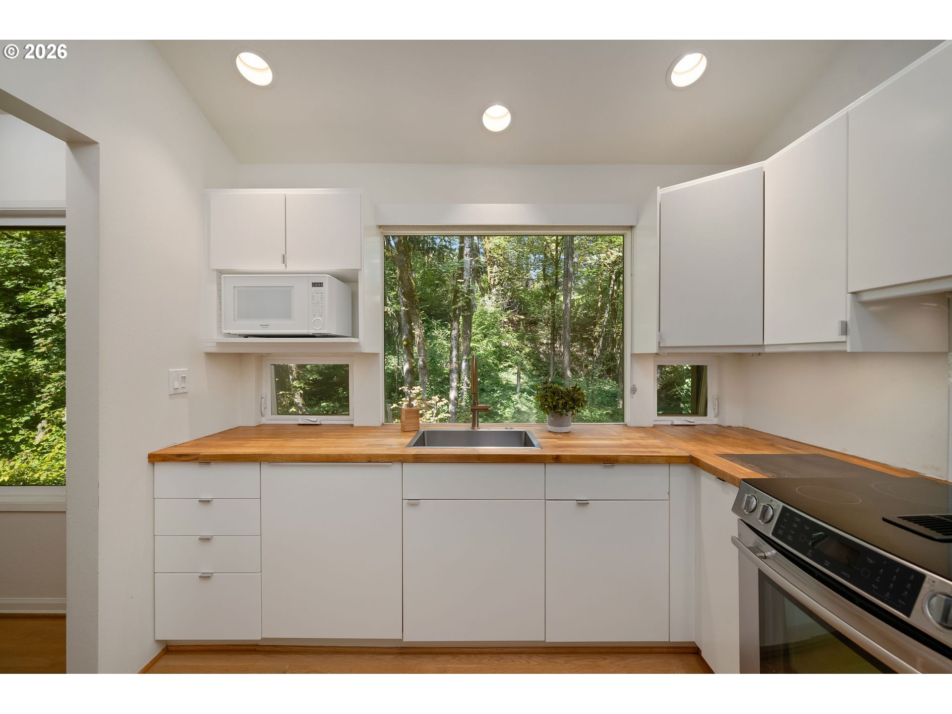 12 MOUNTAIN CIR