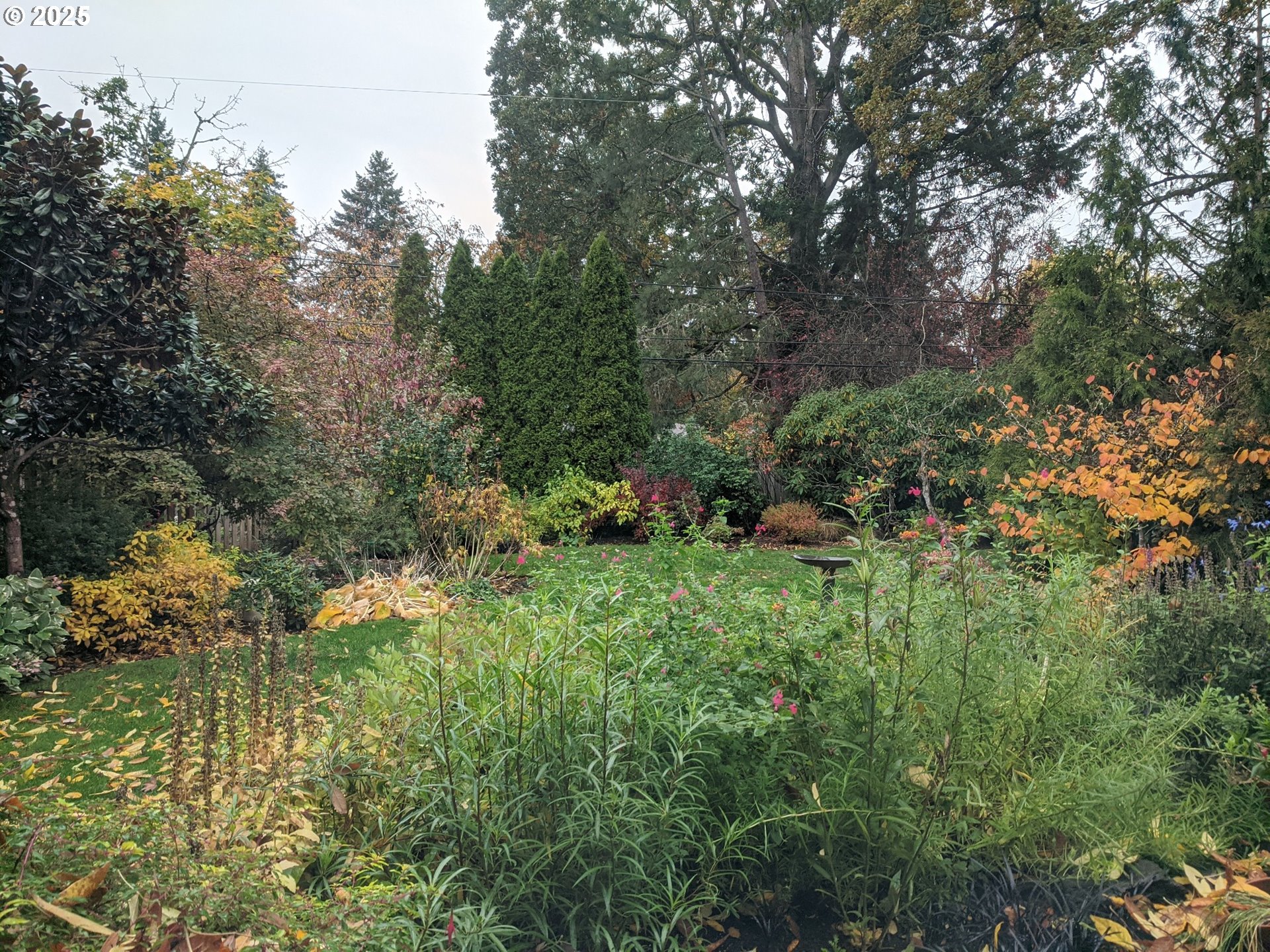 135 SW DEVONWOOD AVE