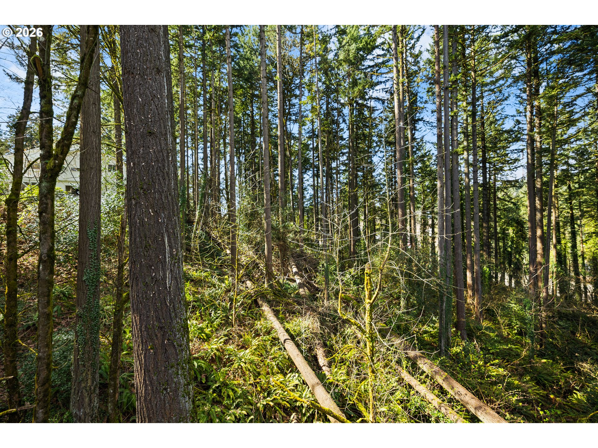 4937 SW HUMPHREY PARK RD