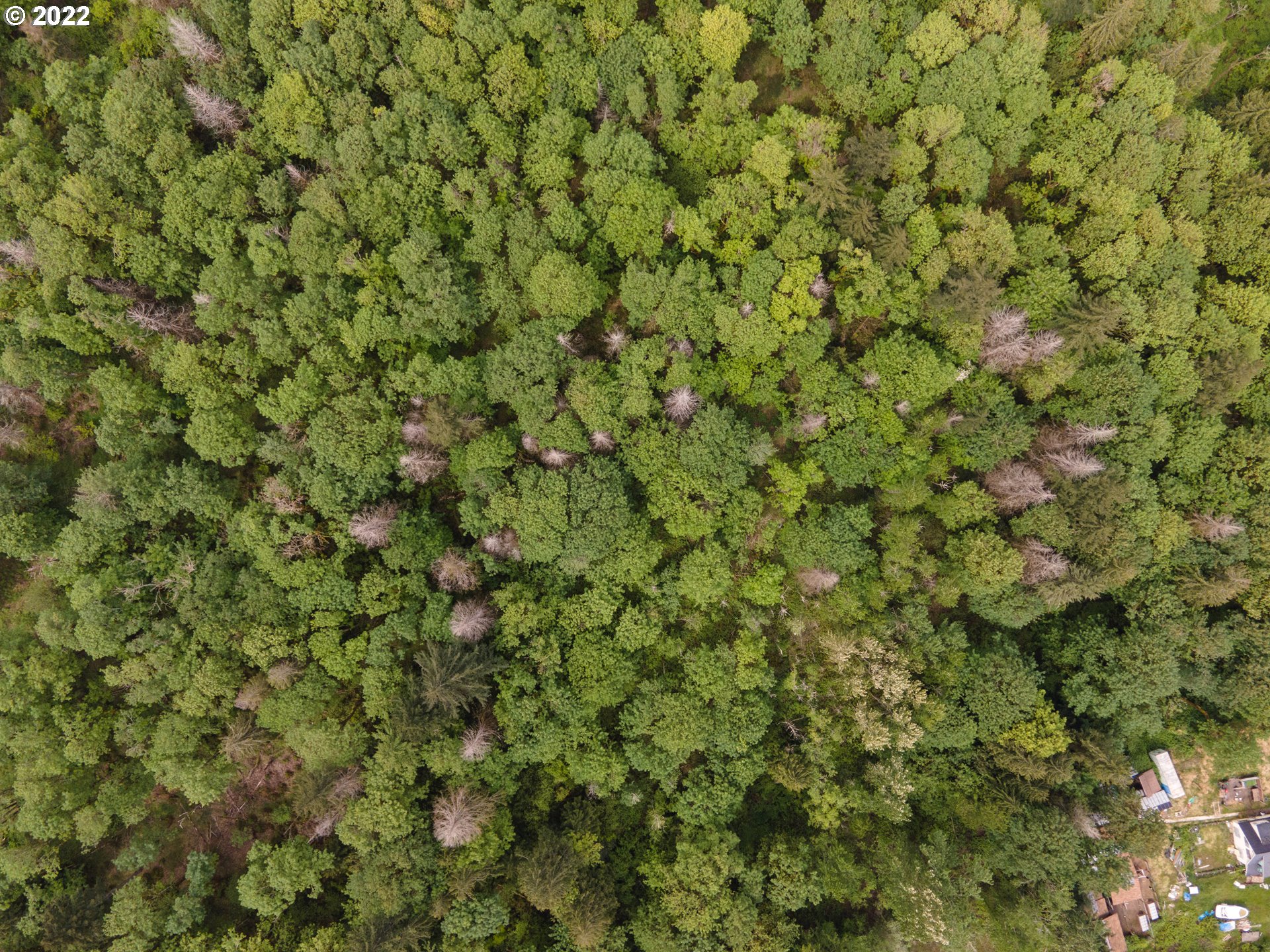 15019 SE CLATSOP ST Lt600