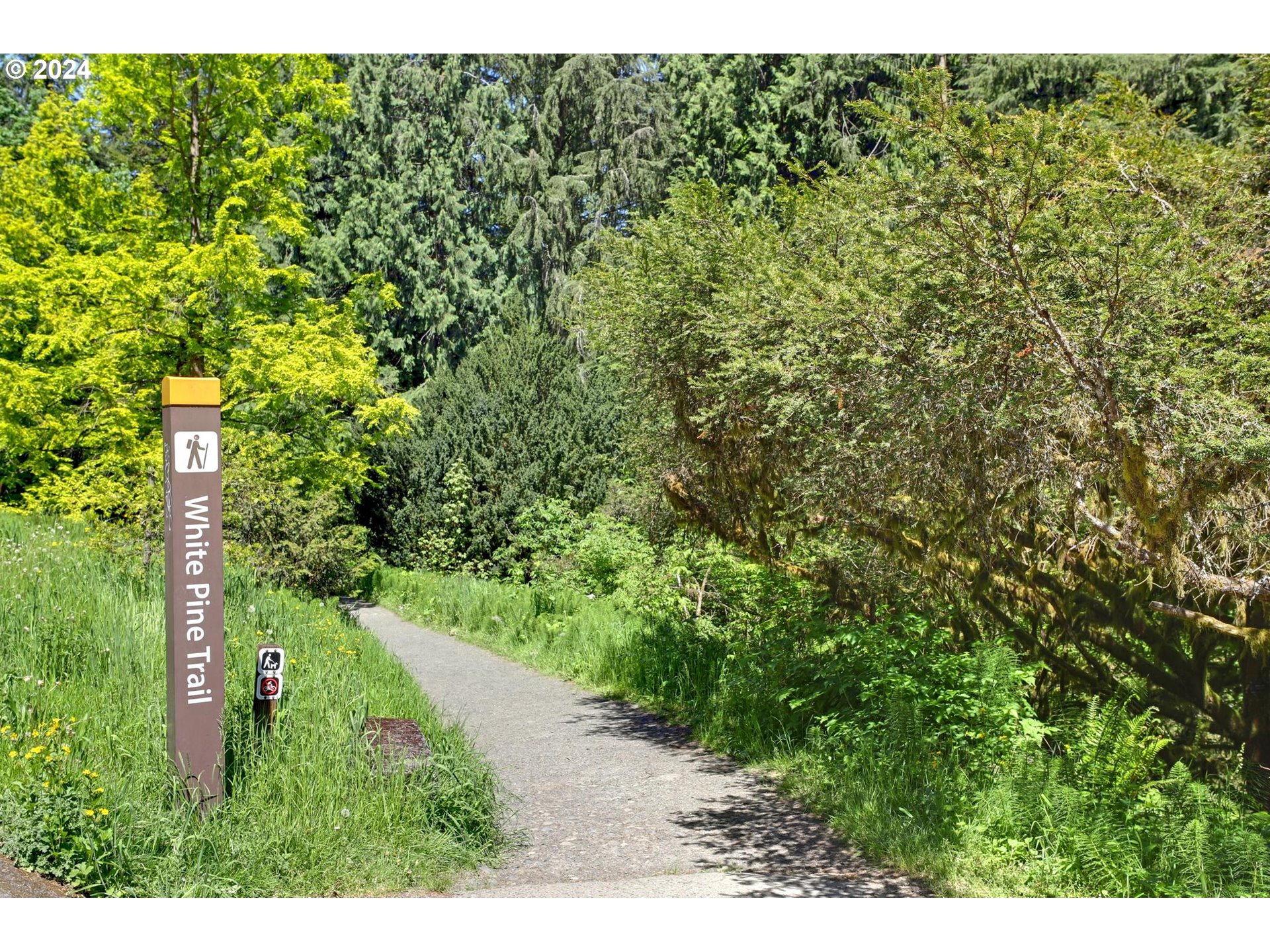 628 SW ARBORETUM CIR