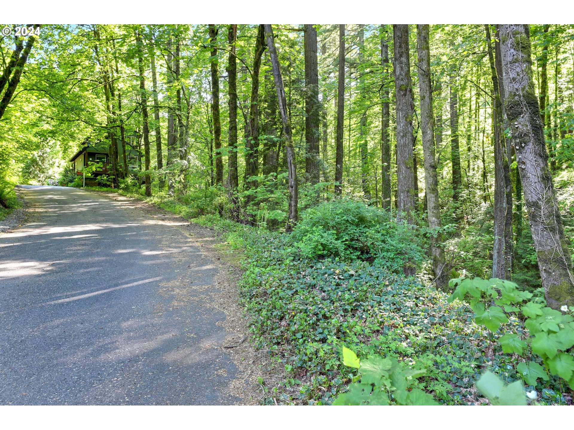 628 SW ARBORETUM CIR