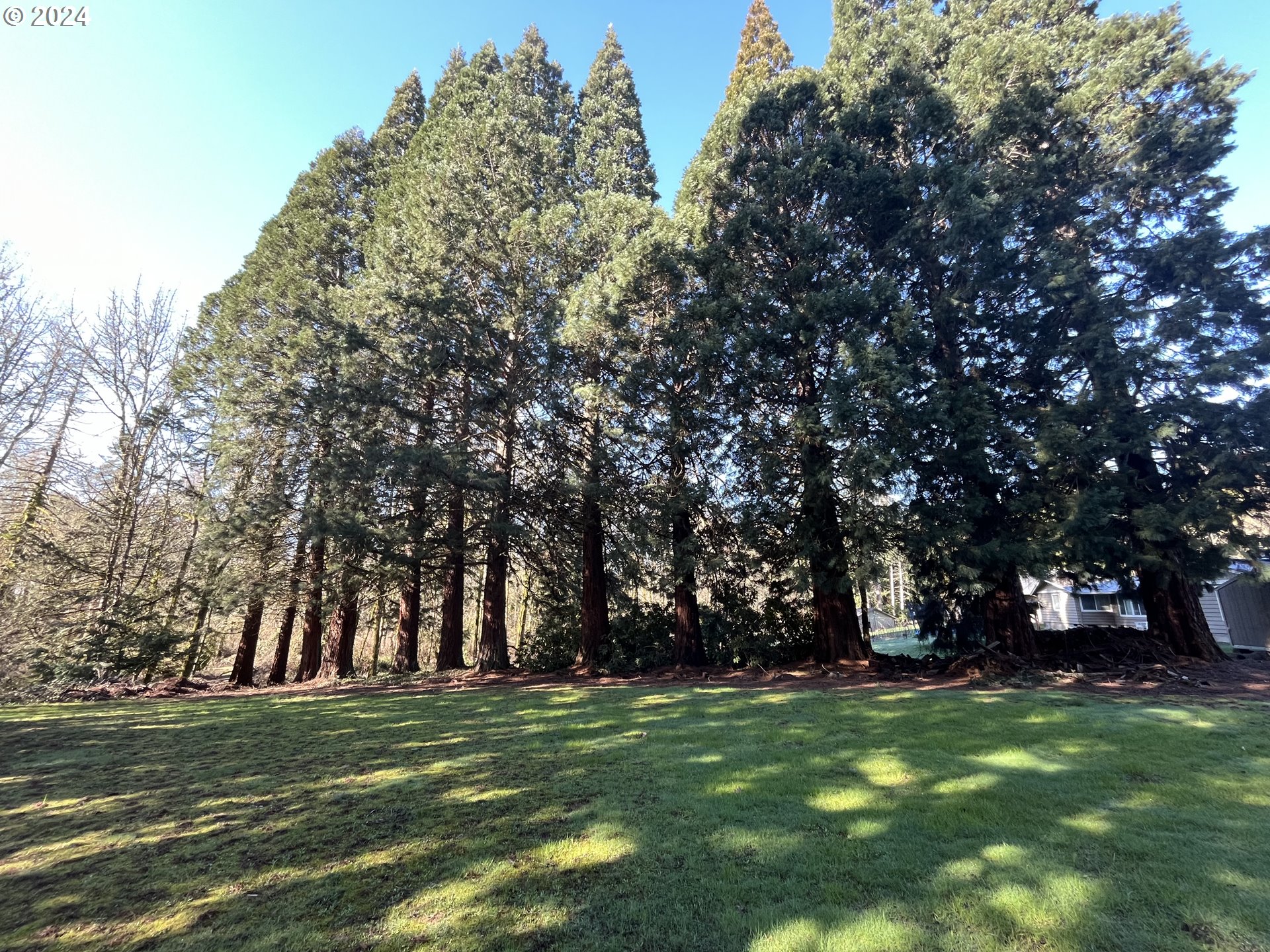 17650 SW PHEASANT LN