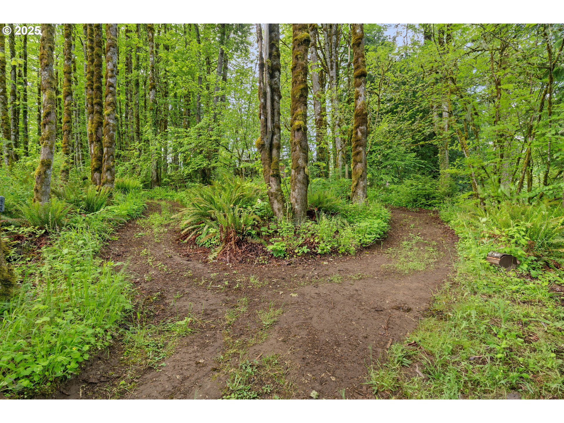 8427 NW SKYLINE BLVD, Portland