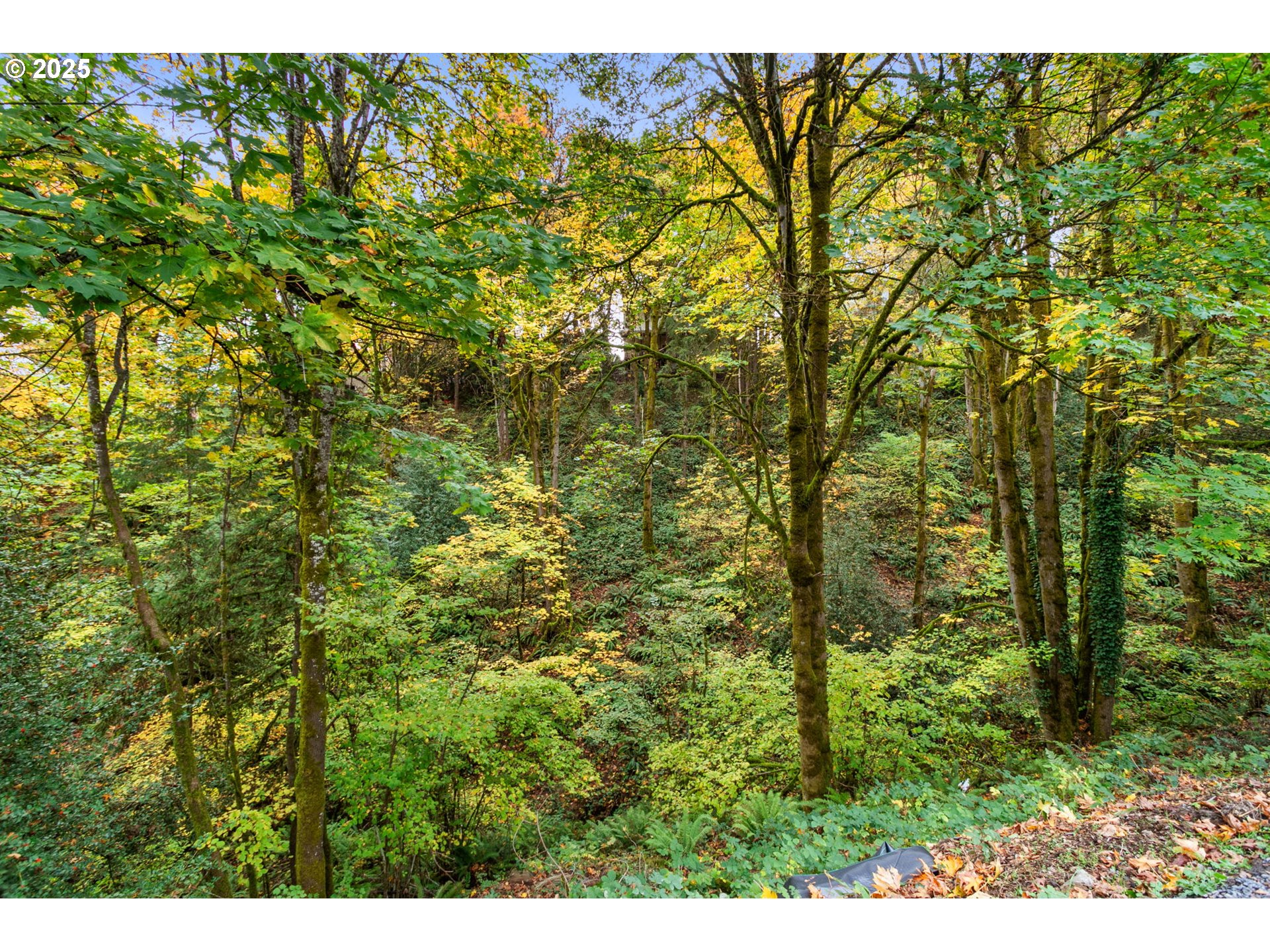 13518 SW HILLSHIRE DR