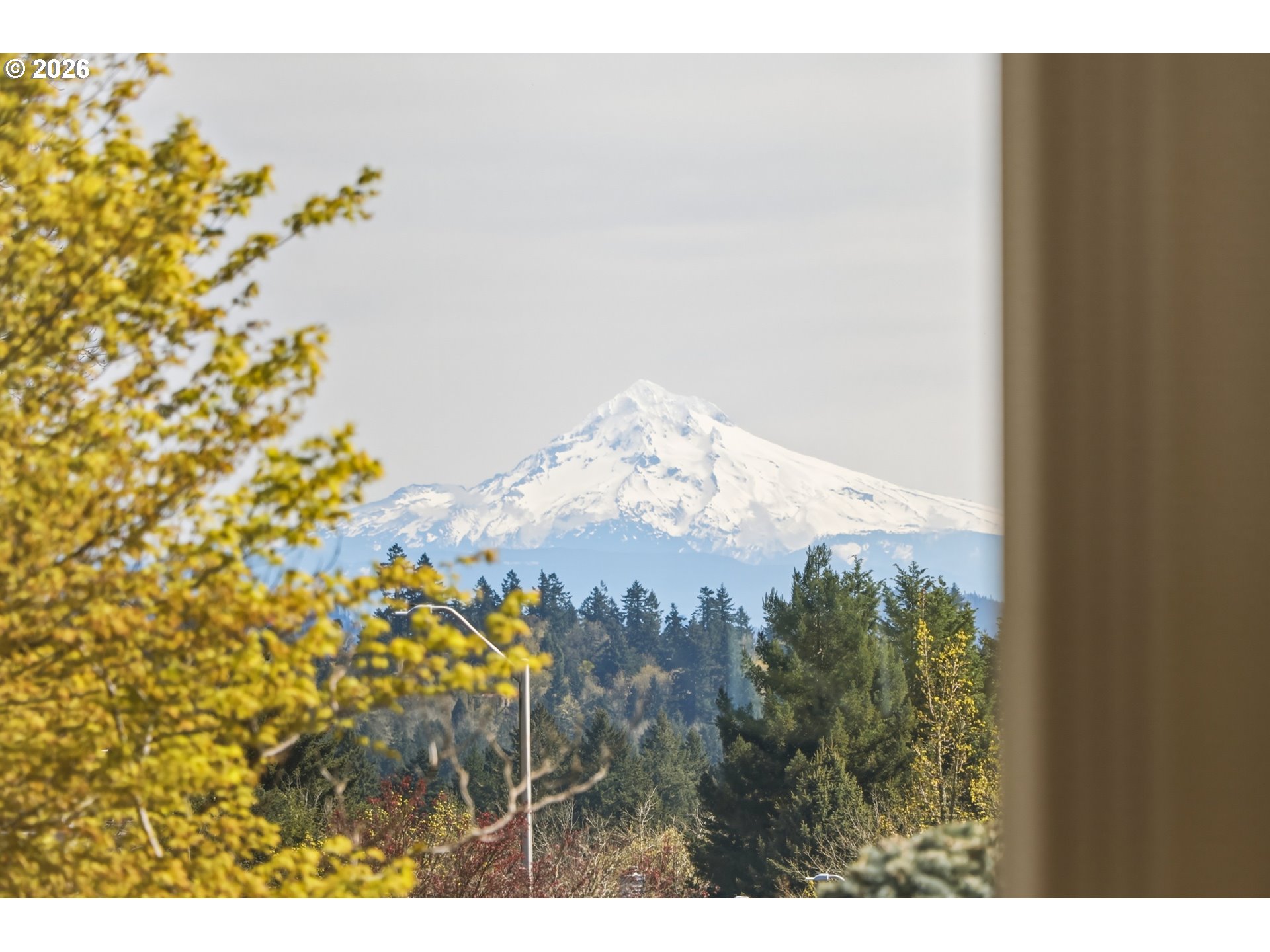 1611 SW DICKINSON LN