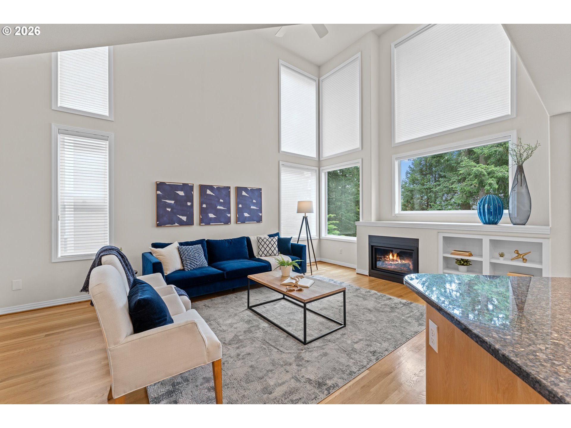 3490 CHAPARREL LOOP