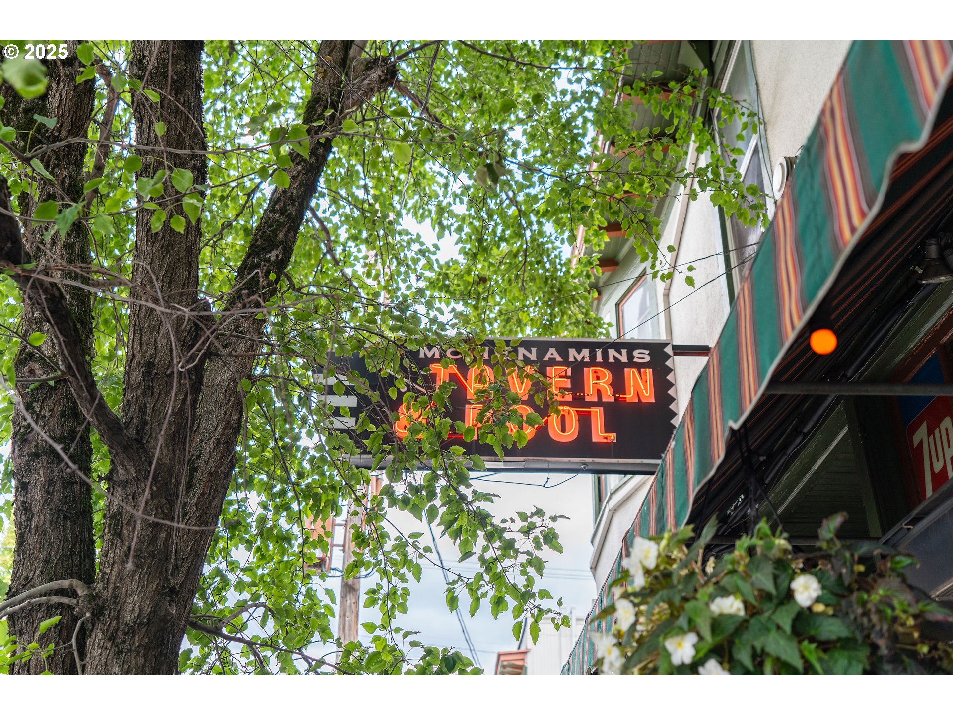 1811 NW COUCH ST 506