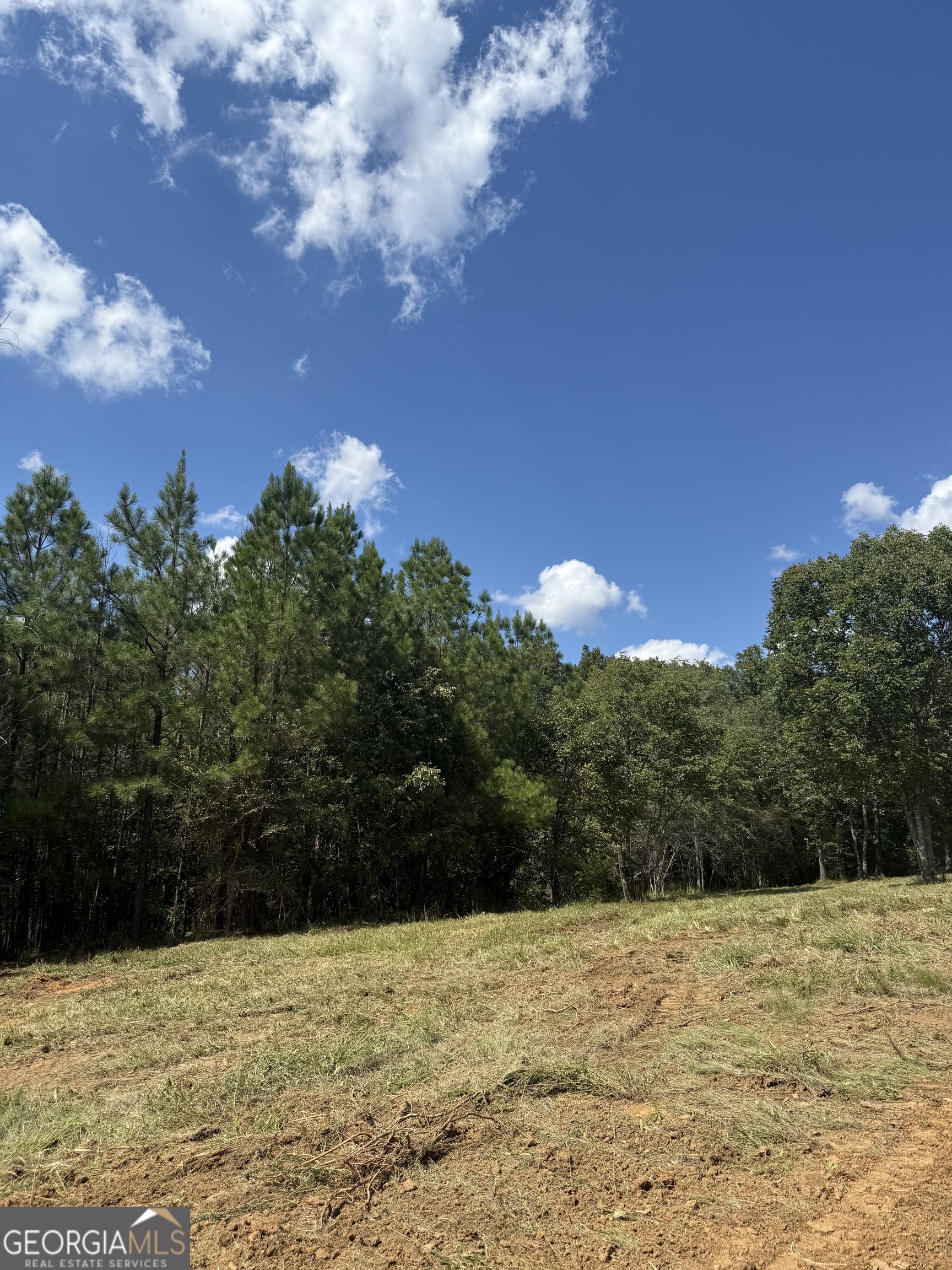 661 Martin Luther King Jr Drive