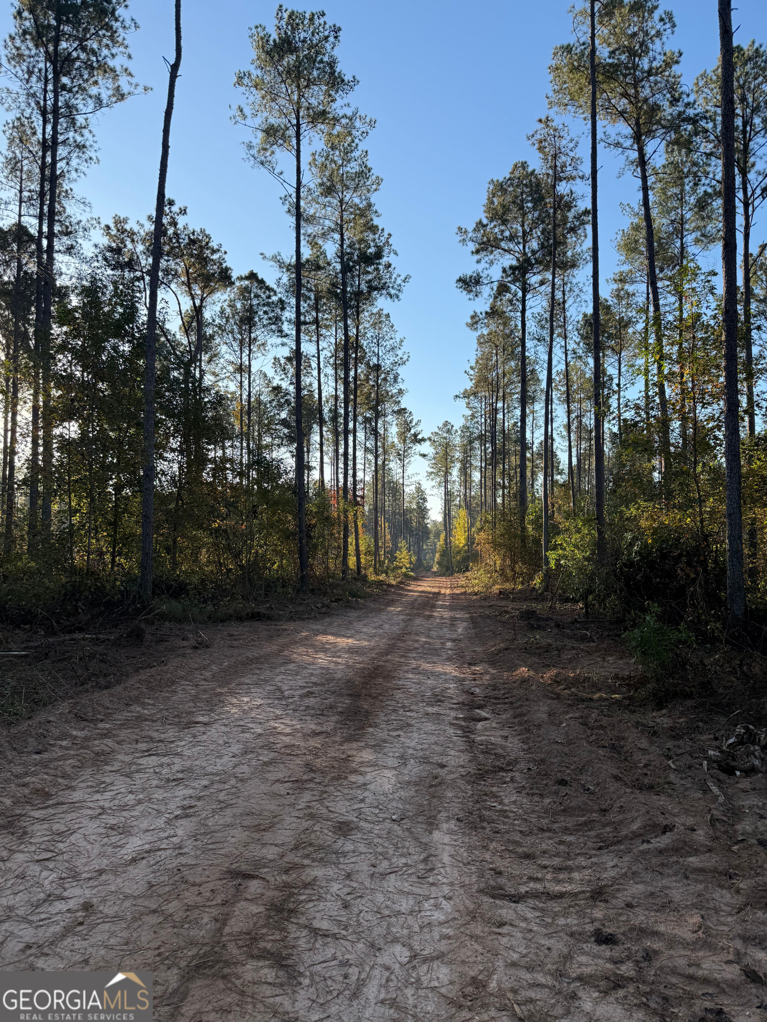 0 Baldwin Dairy Road