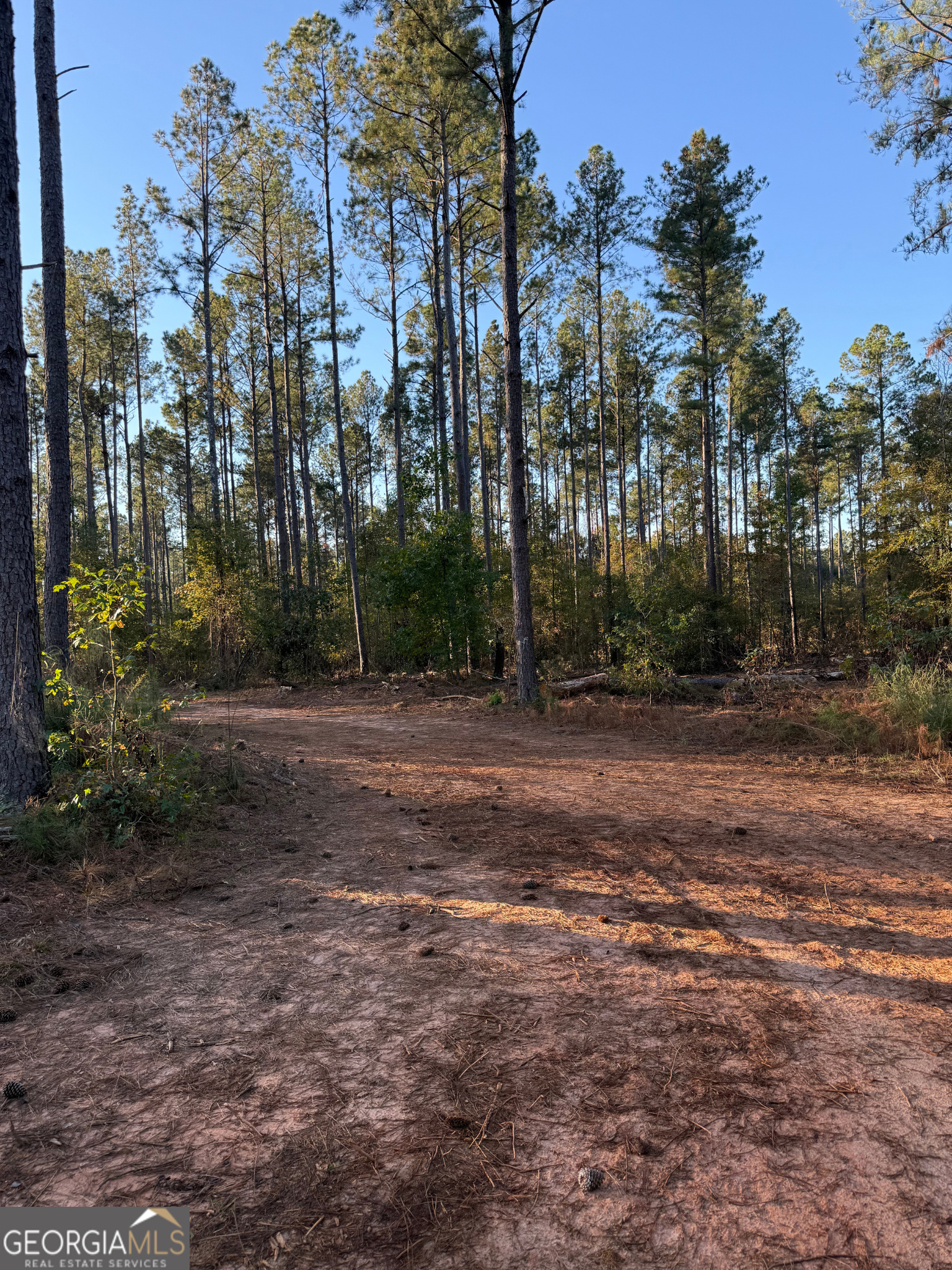 0 Baldwin Dairy Road