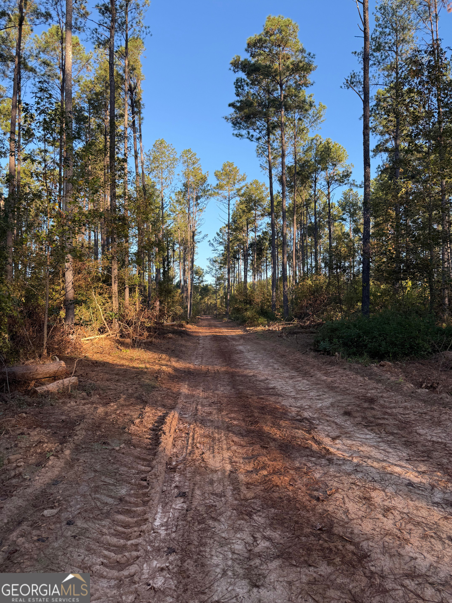 0 Baldwin Dairy Road