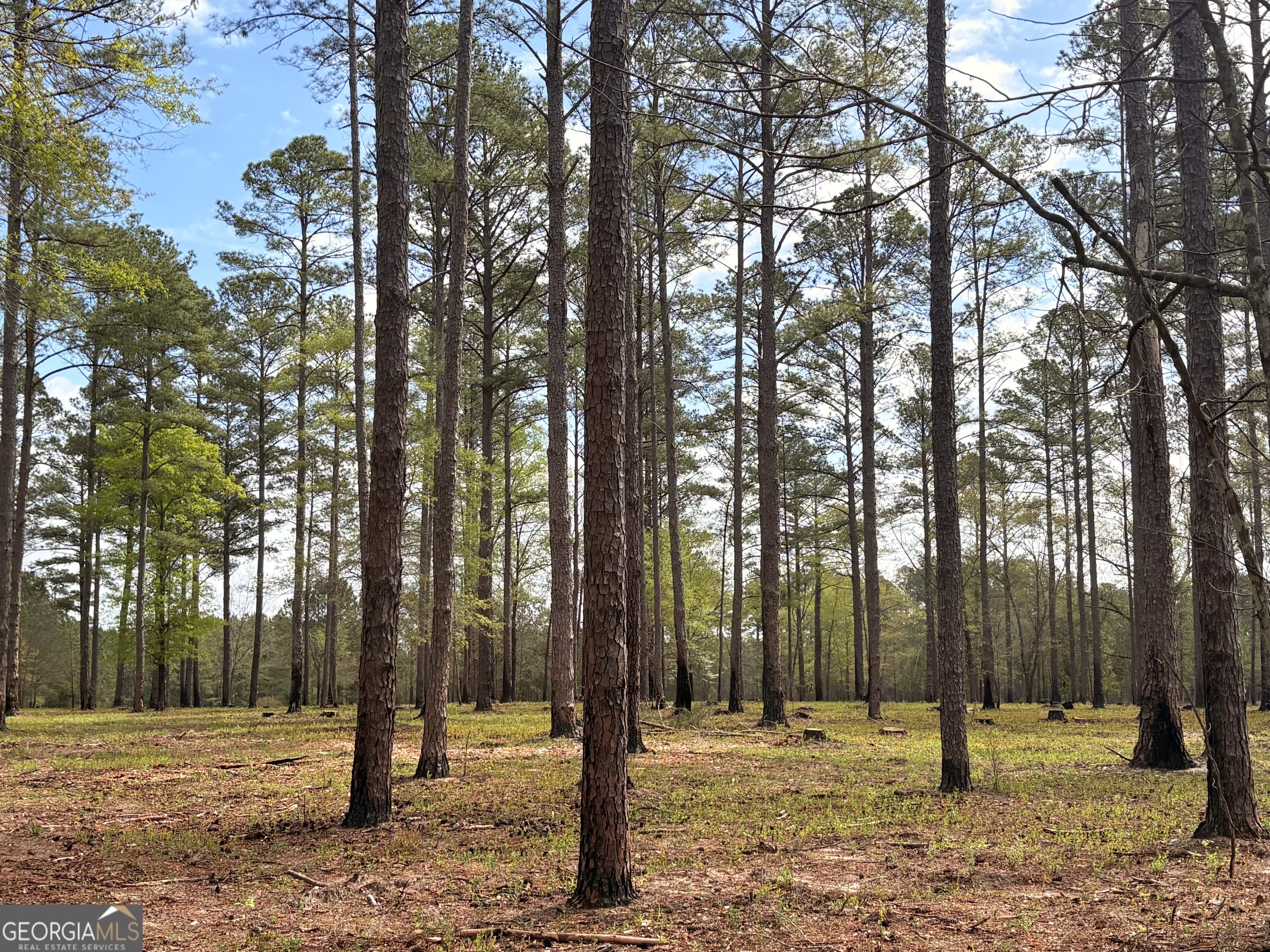 00 Sandy Creek Road