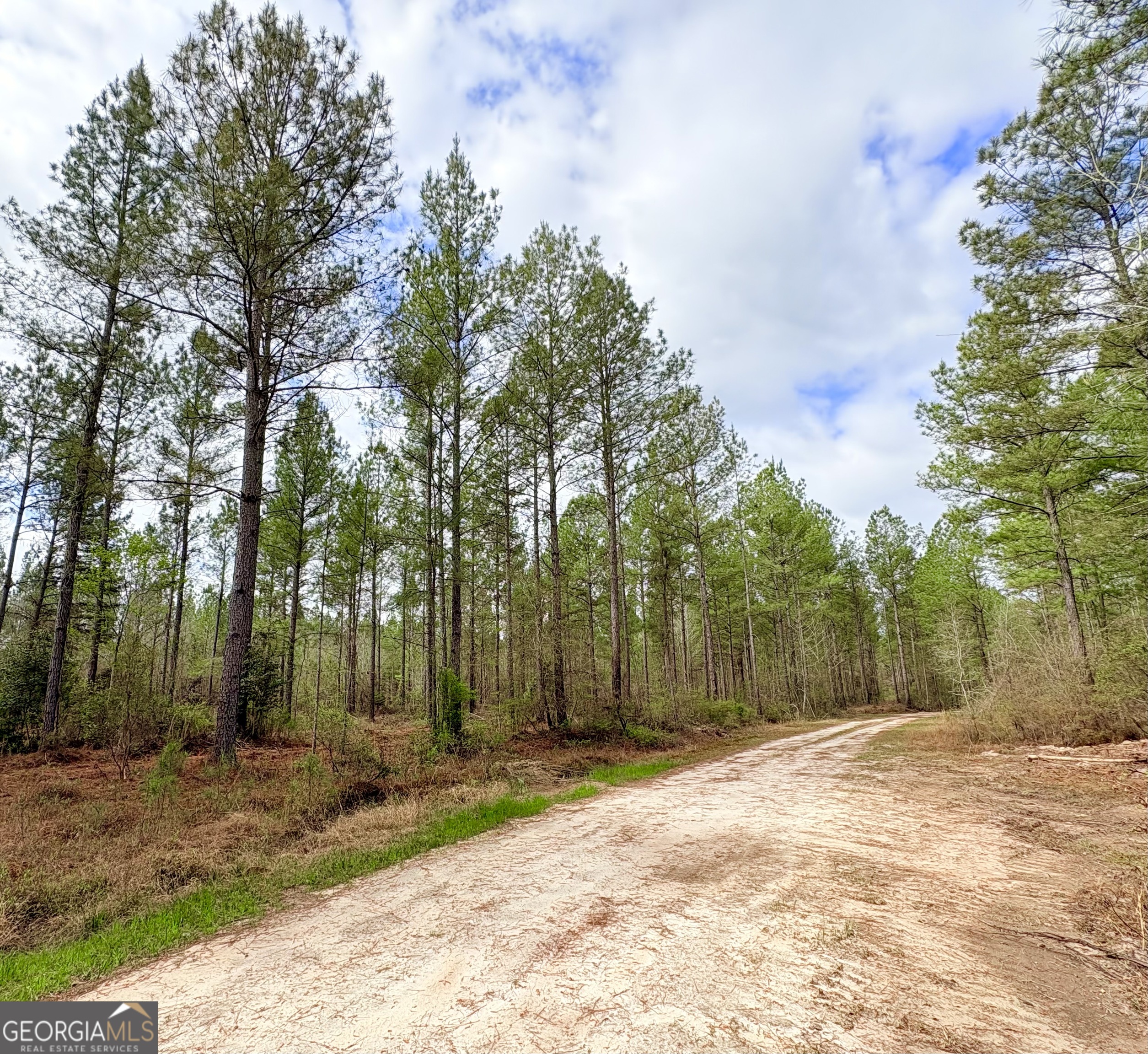 00 Sandy Creek Road