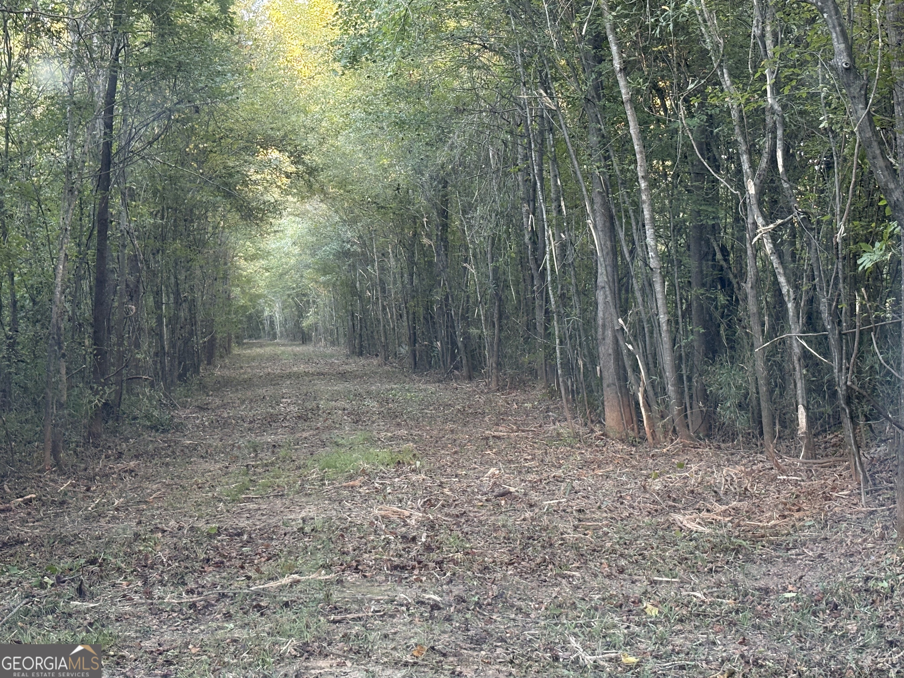 00 Sandy Creek Road
