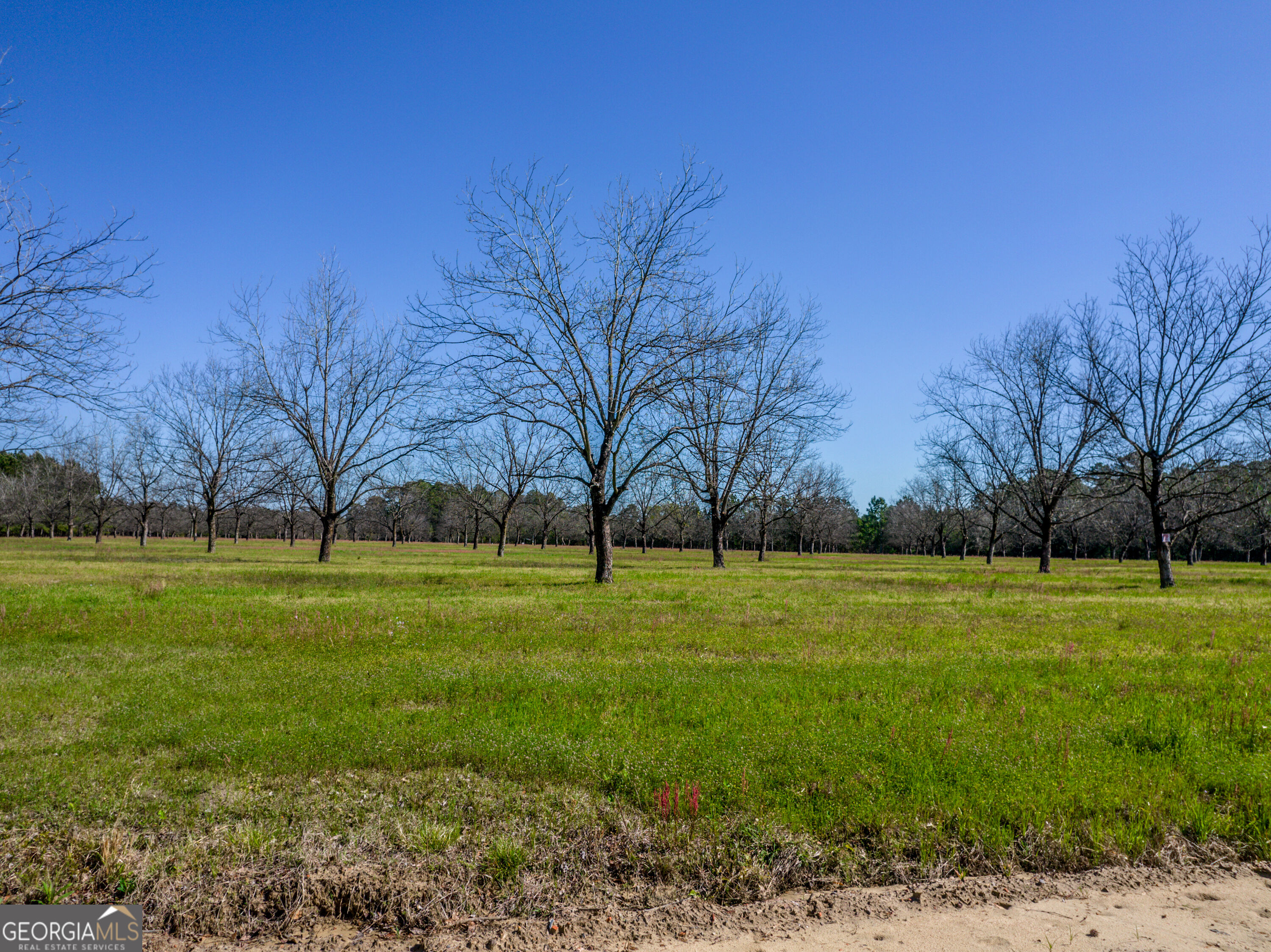 9.64 ACRES Kermit Road