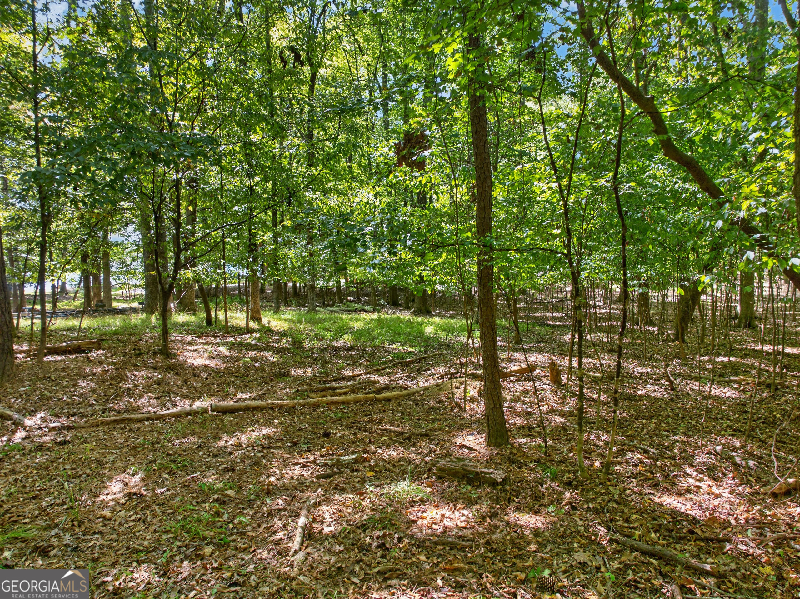 123 Sugar Creek Trail