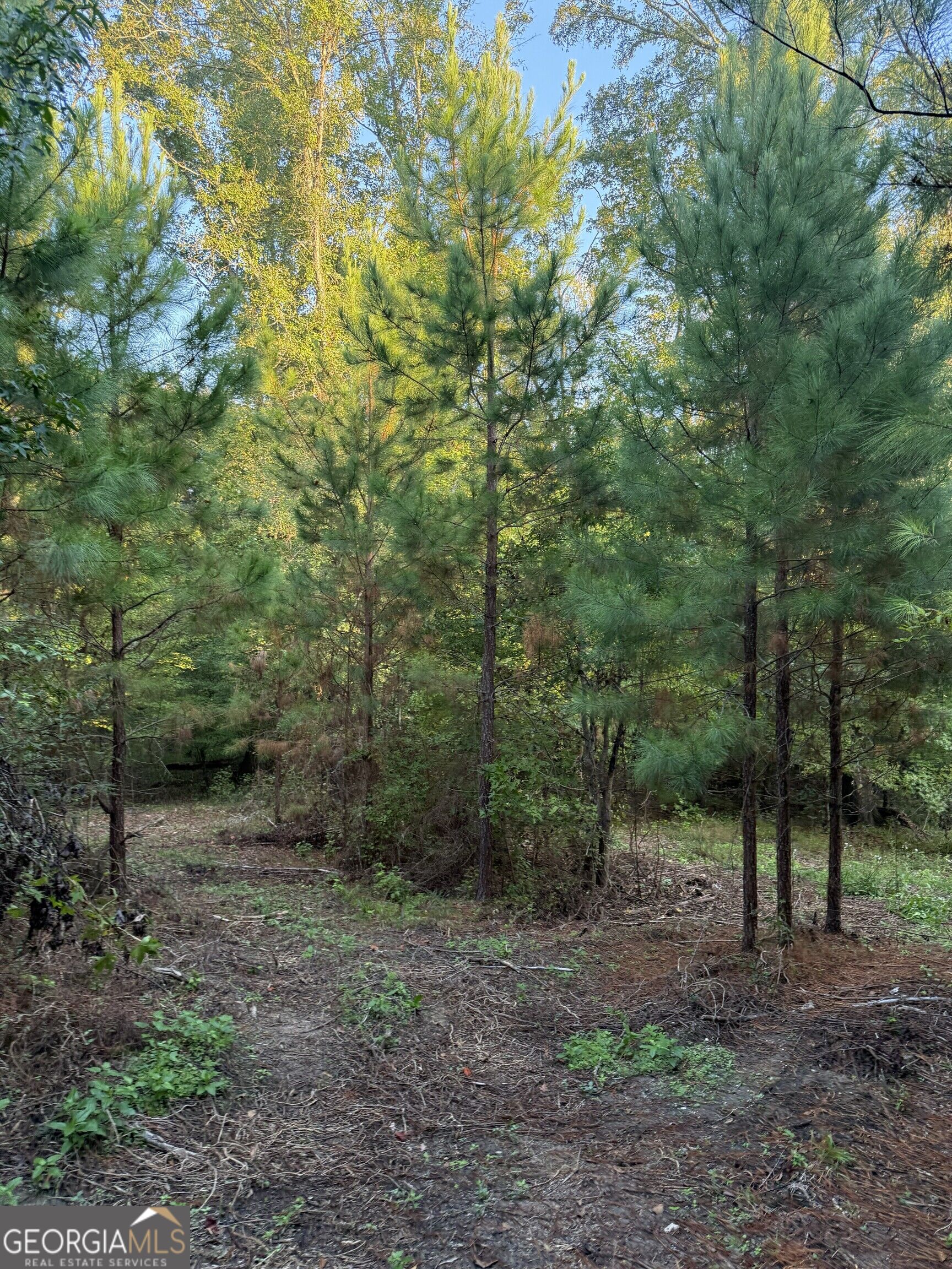 0 Lower Harmony Road