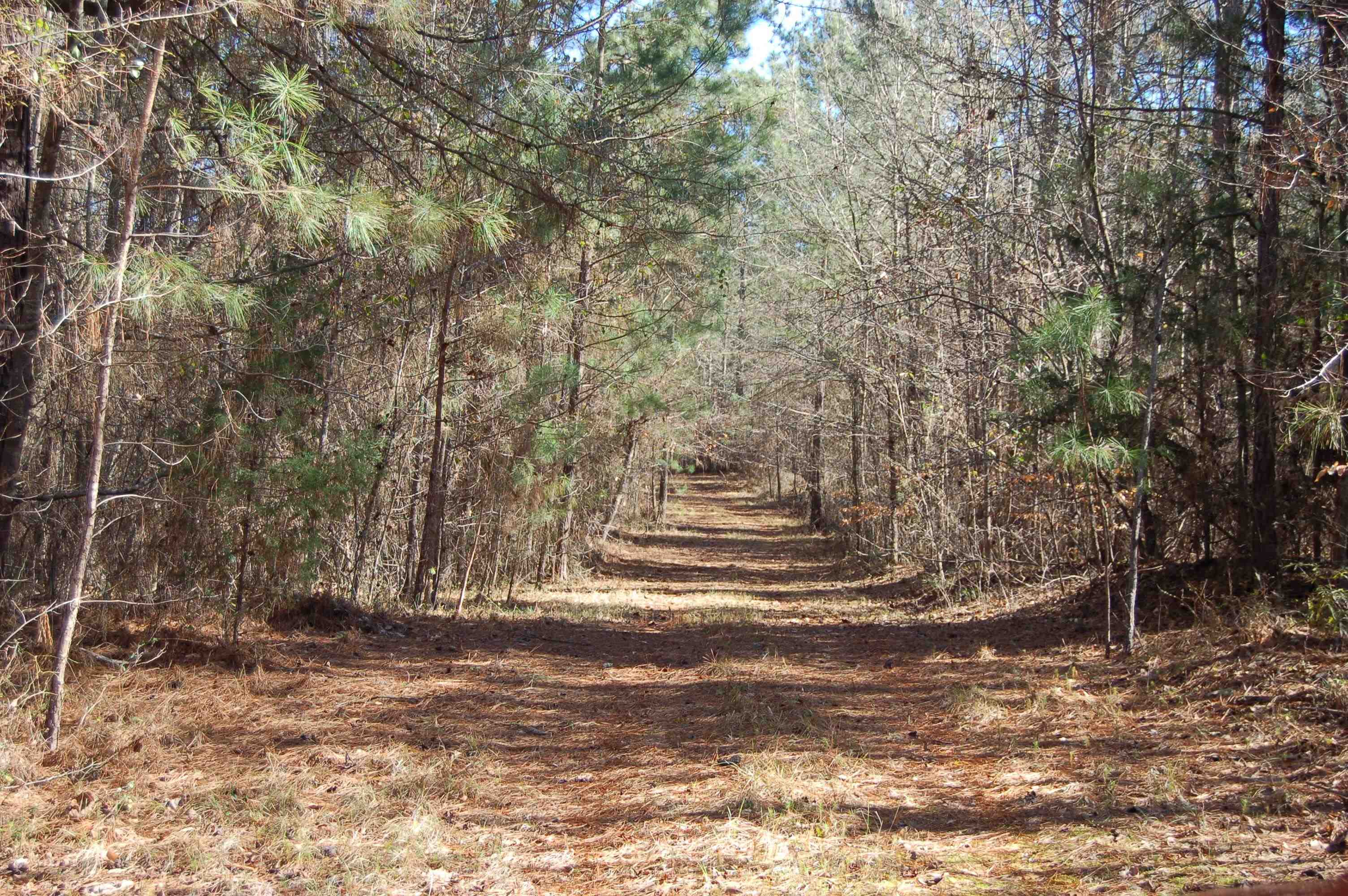 00 FEARS ROAD