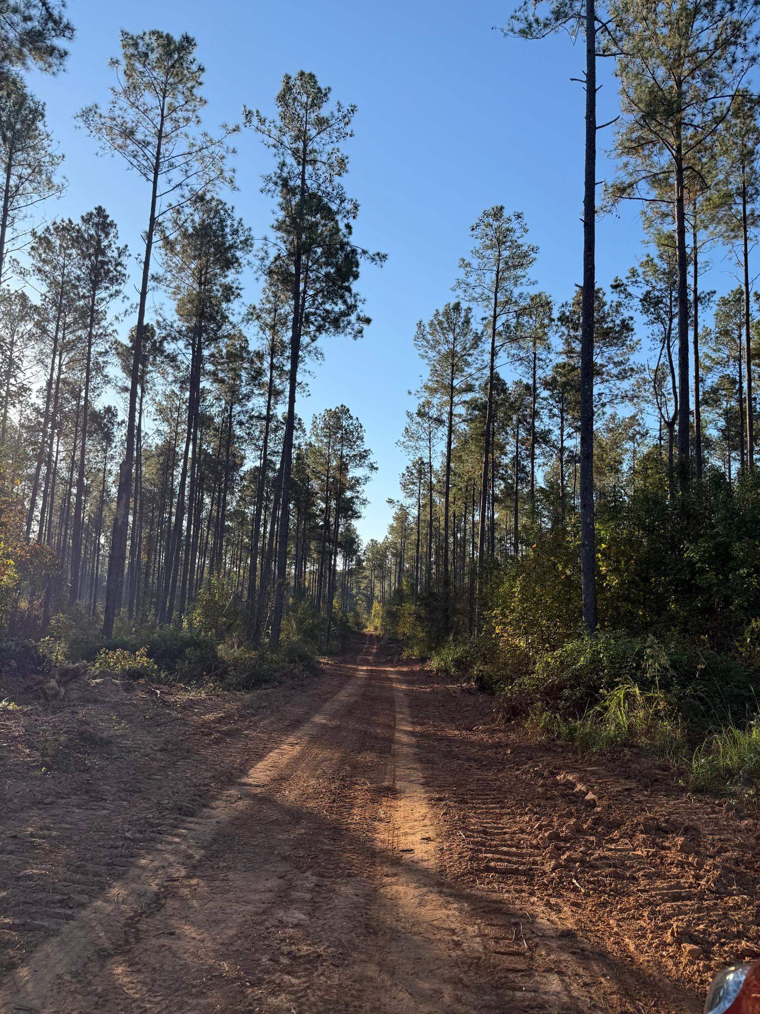 0 BALDWIN DAIRY ROAD