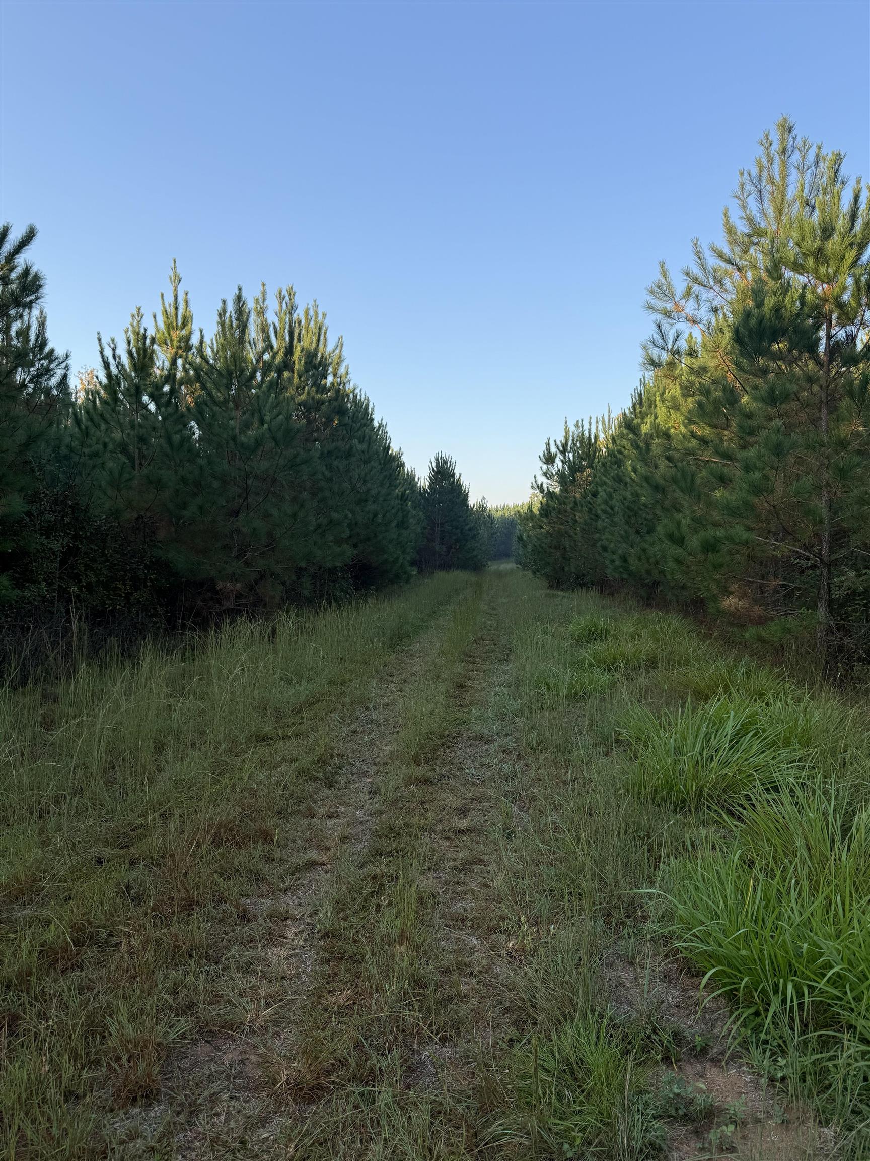 0 LOWER HARMONY ROAD # 0