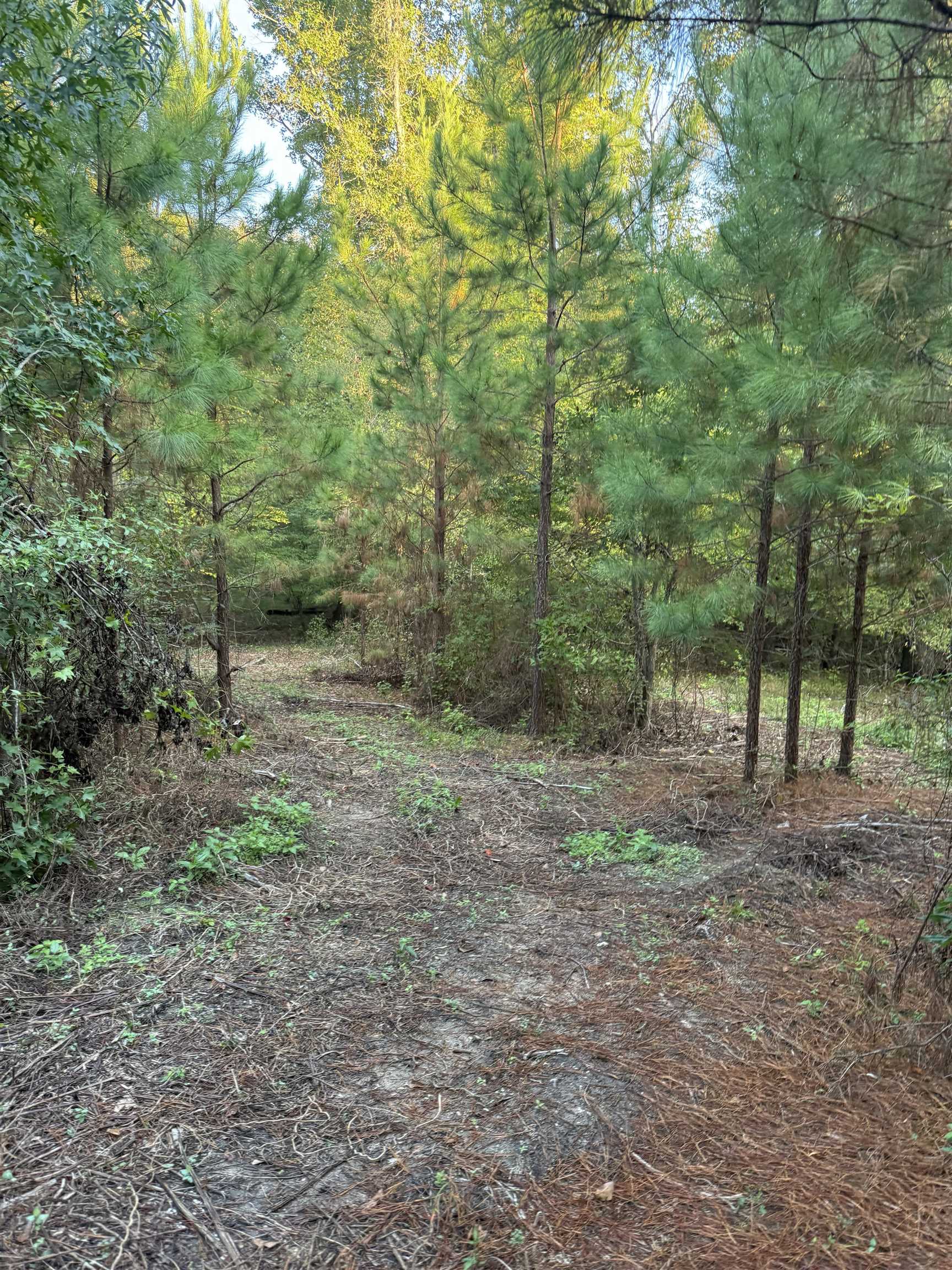 0 LOWER HARMONY ROAD # 0