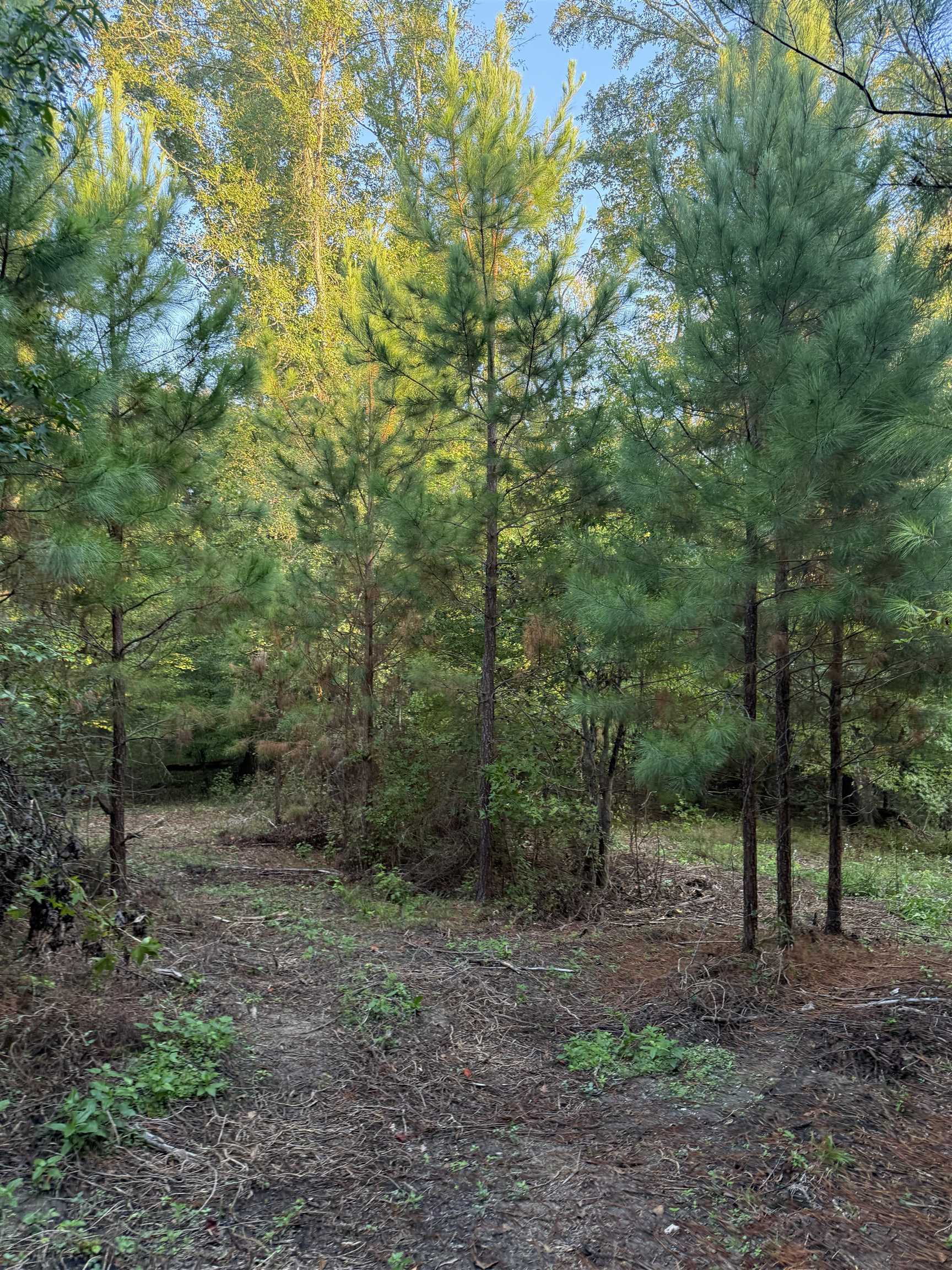 0 LOWER HARMONY ROAD # 0