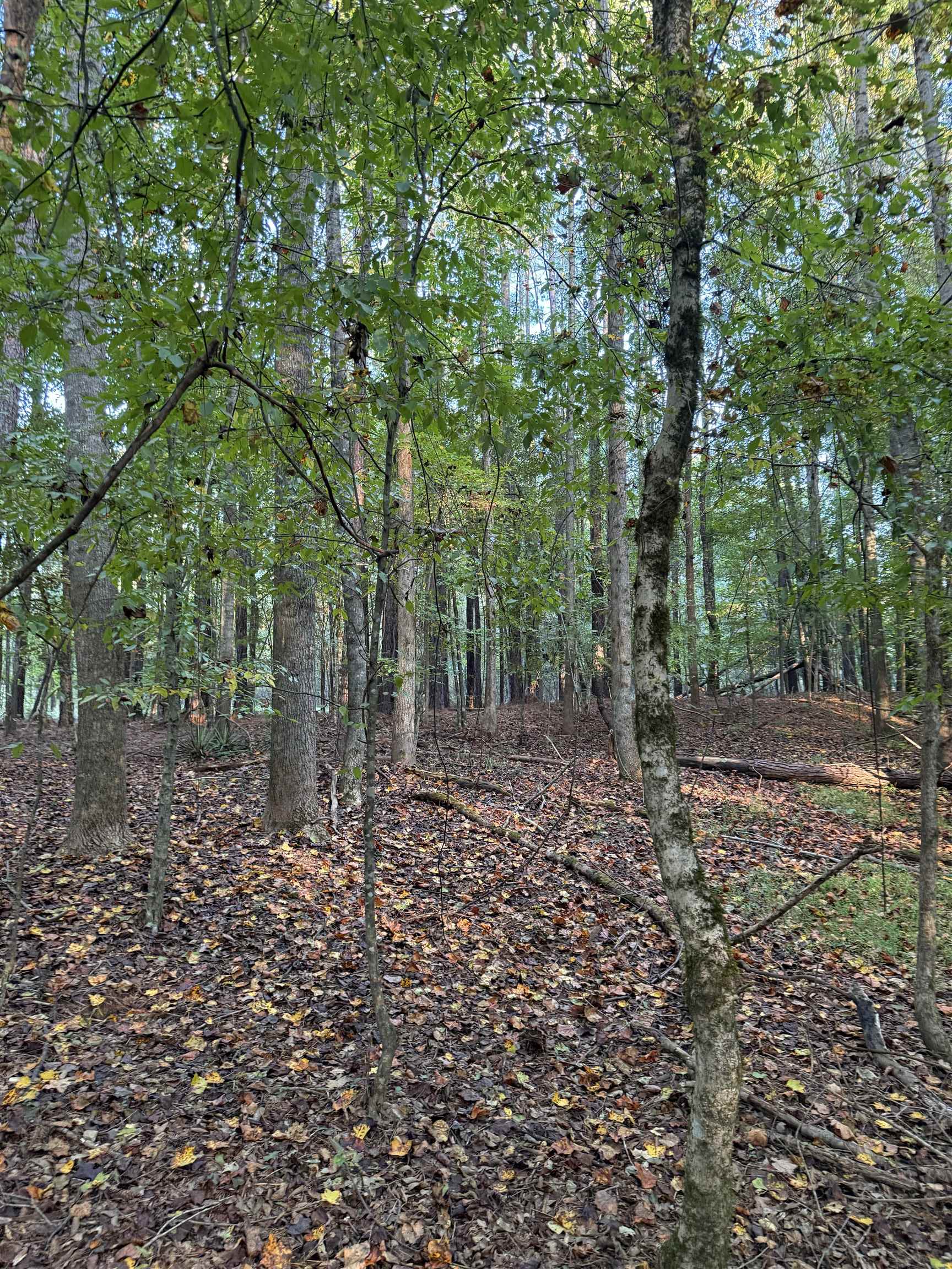 0 LOWER HARMONY ROAD # 0