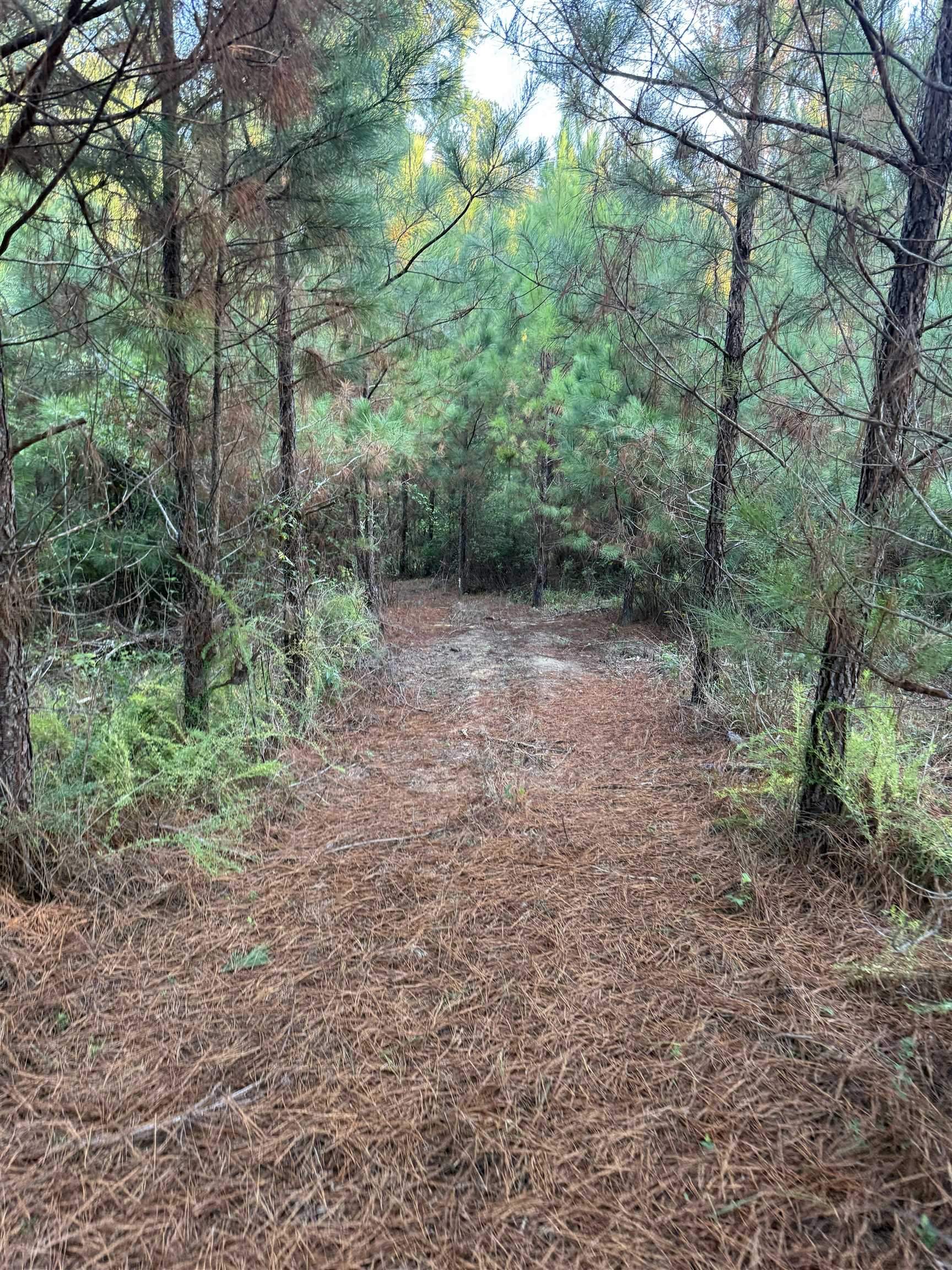0 LOWER HARMONY ROAD # 0
