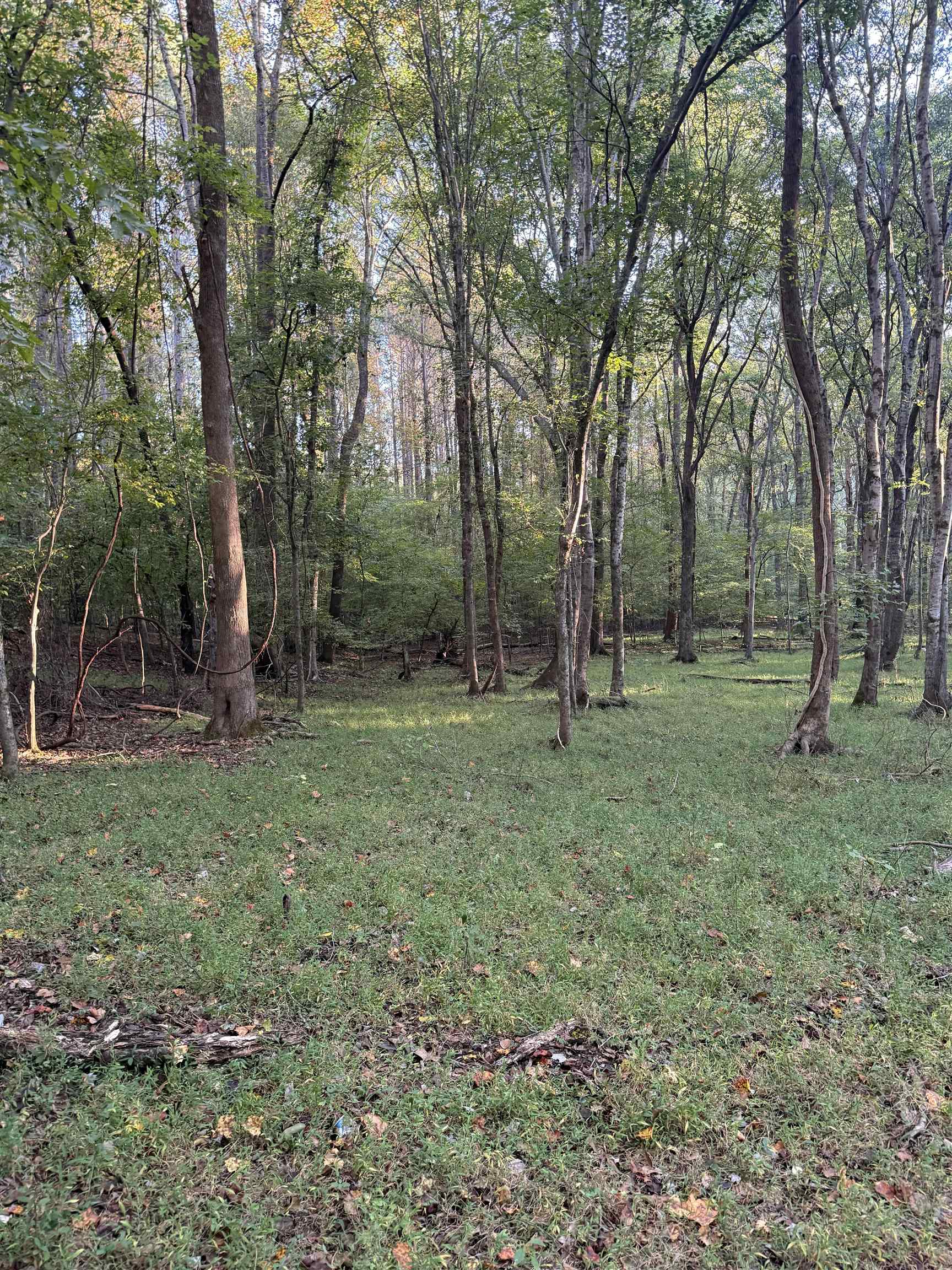 0 LOWER HARMONY ROAD # 0