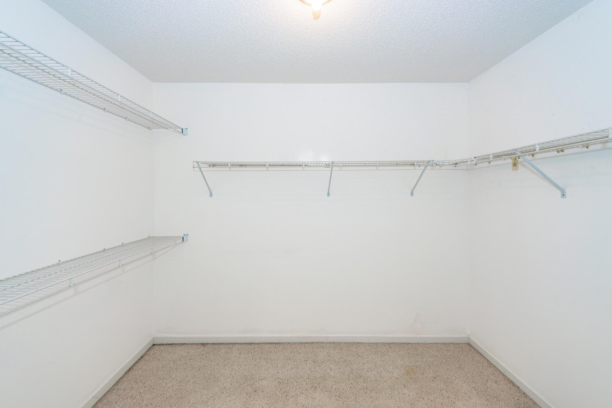 1100 Cass Drive