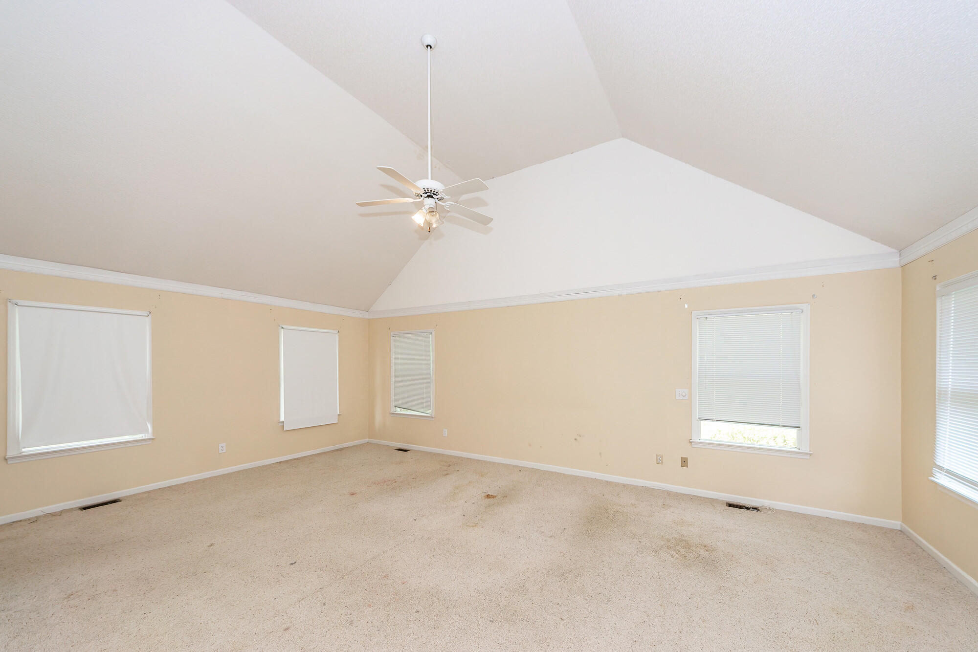1100 Cass Drive